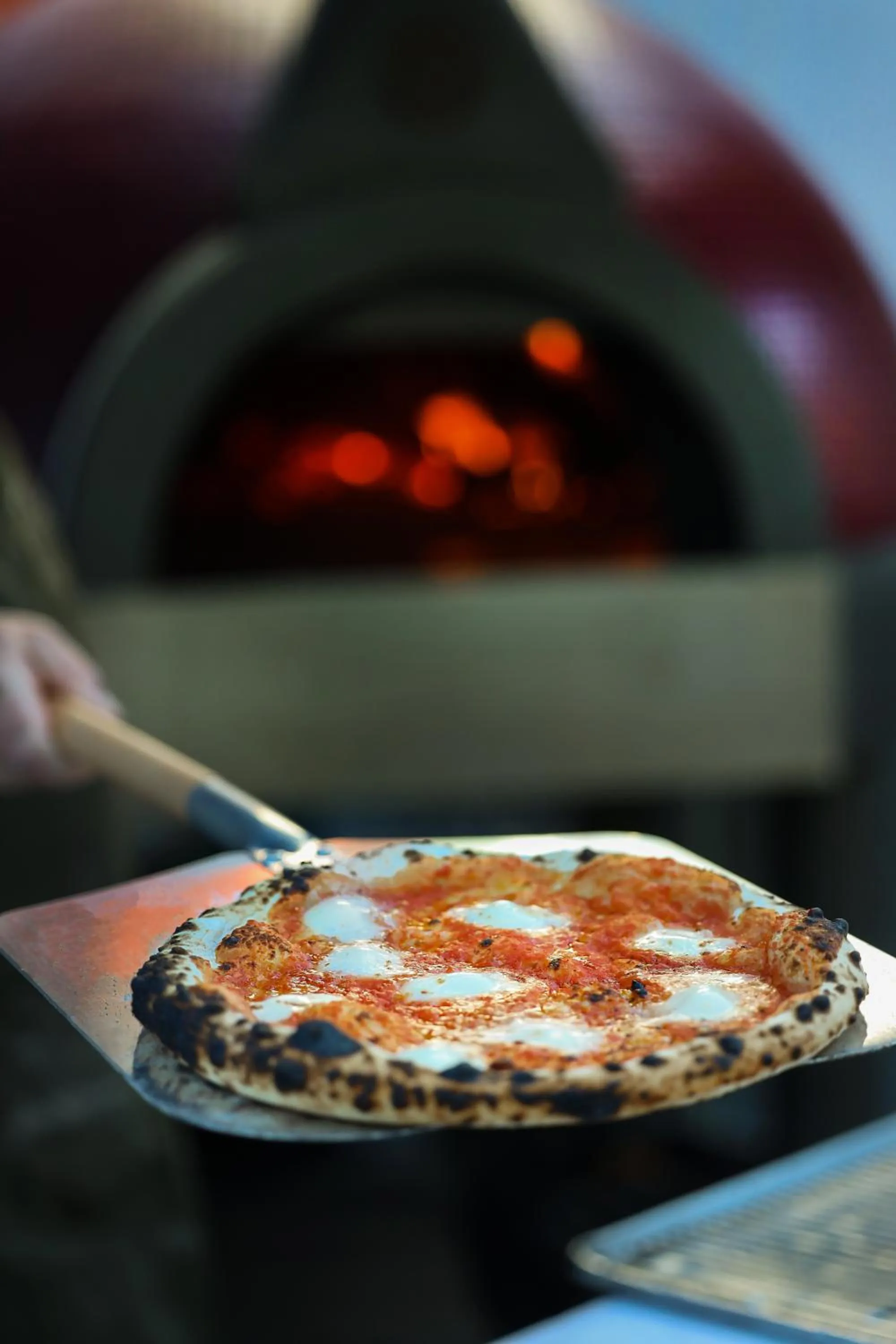 Restaurant/places to eat in Alma San Diego Downtown, a Tribute Portfolio Hotel