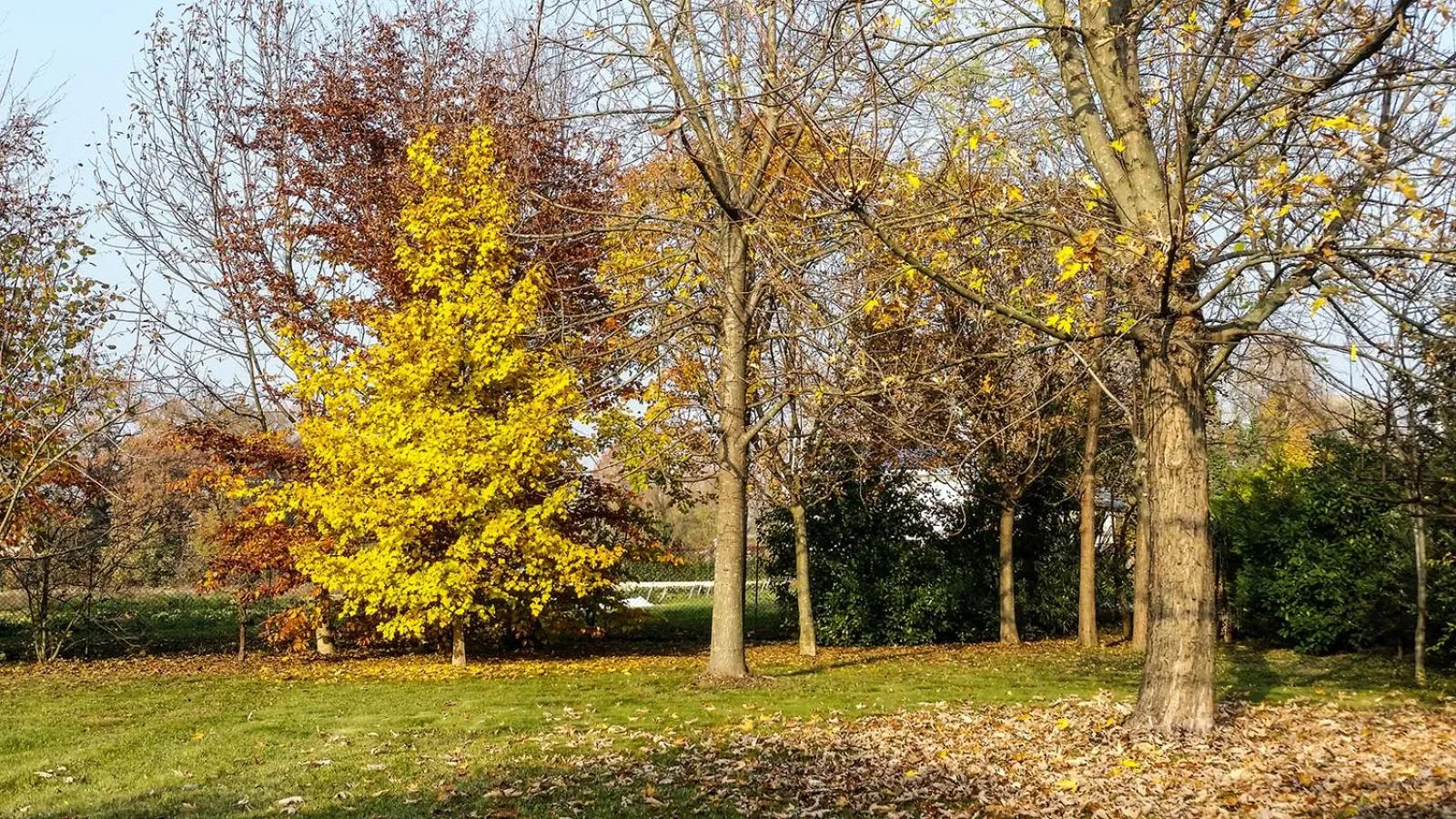 Garden view in B&B Al Piovego