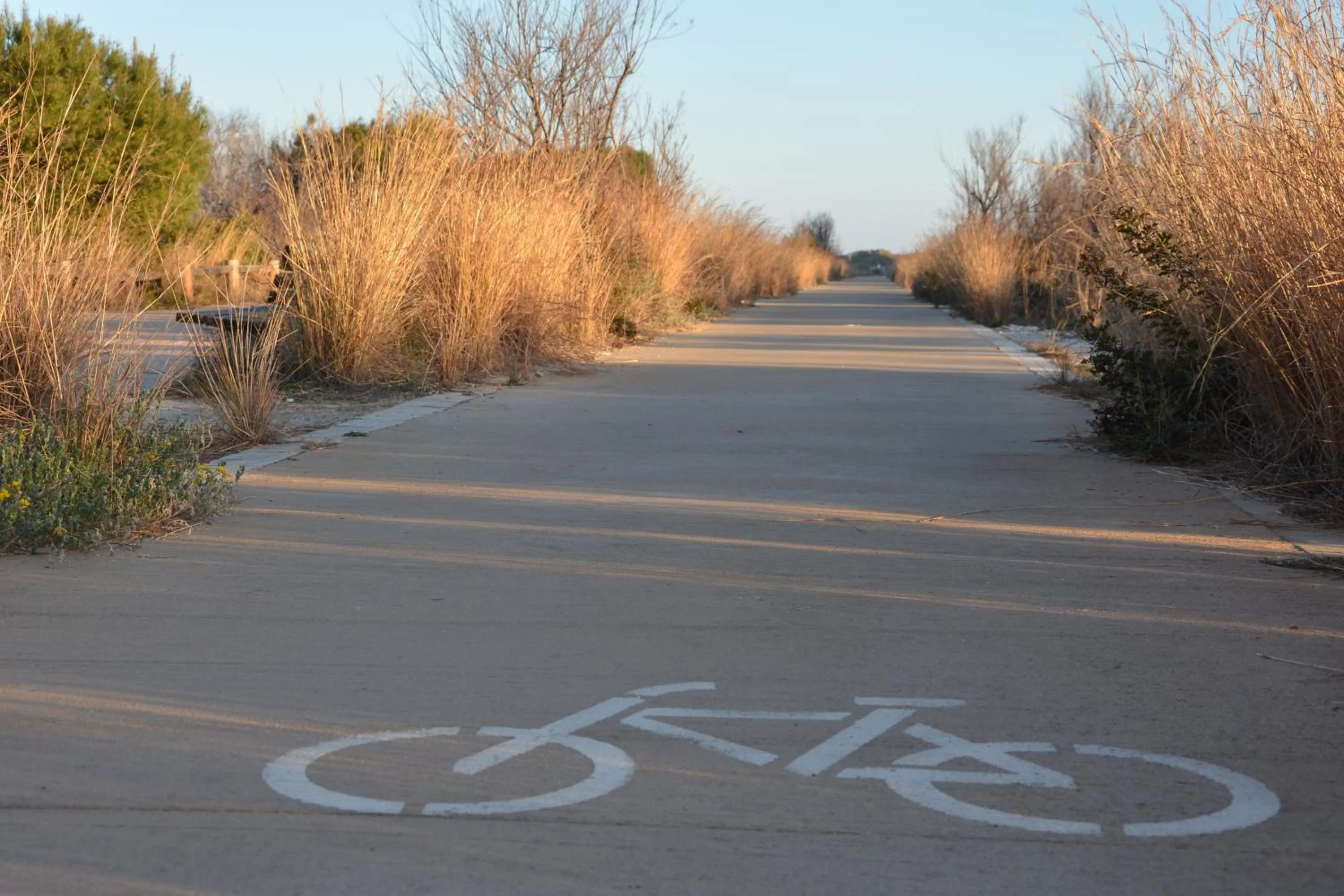Cycling in YOU & CO. Saler Beach Boutique