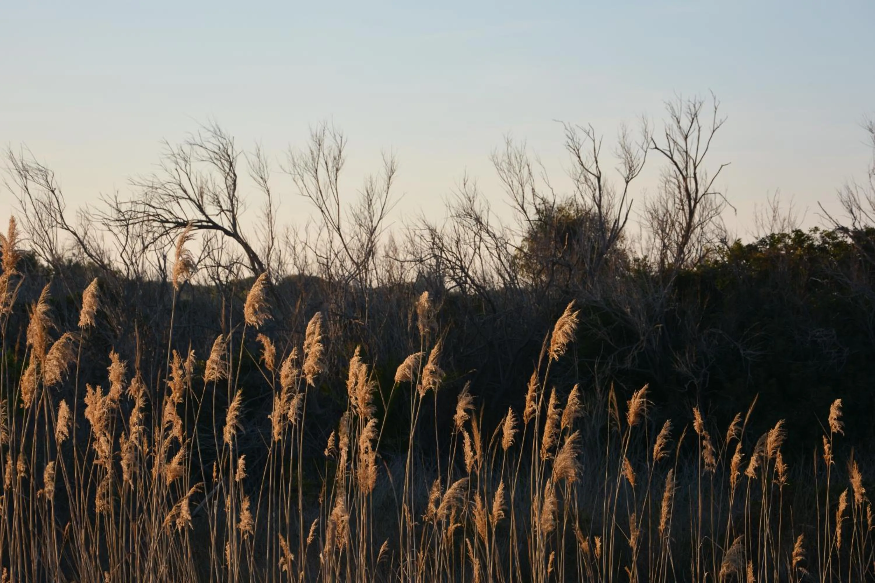 Natural landscape in YOU & CO. Saler Beach Boutique