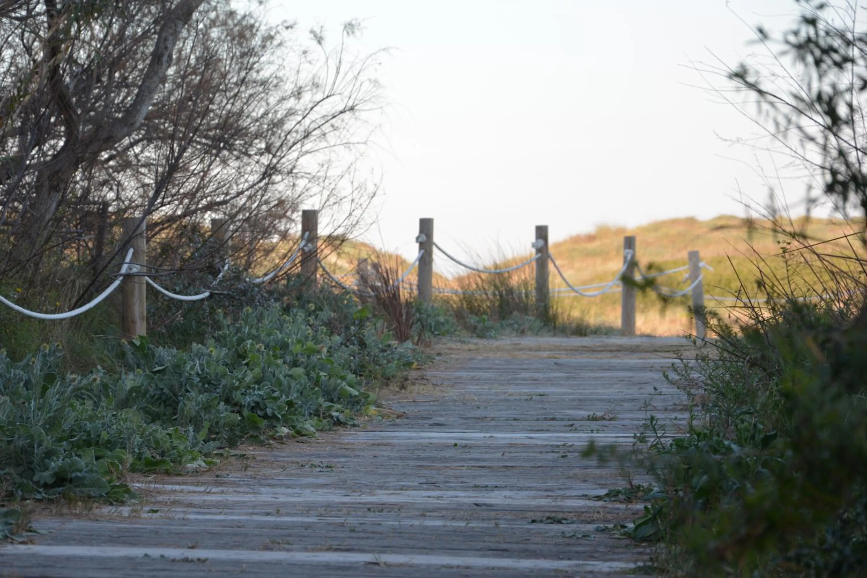 Natural landscape in YOU & CO. Saler Beach Boutique