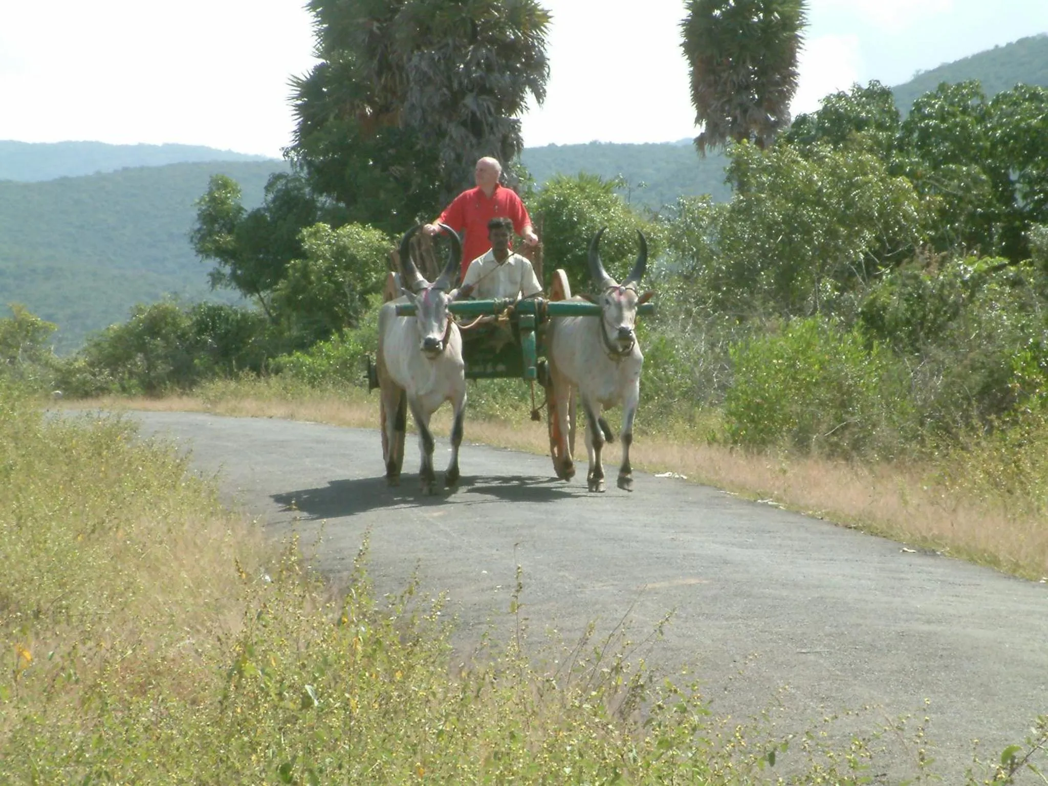 Kadambavanam Ethnic Village Resort