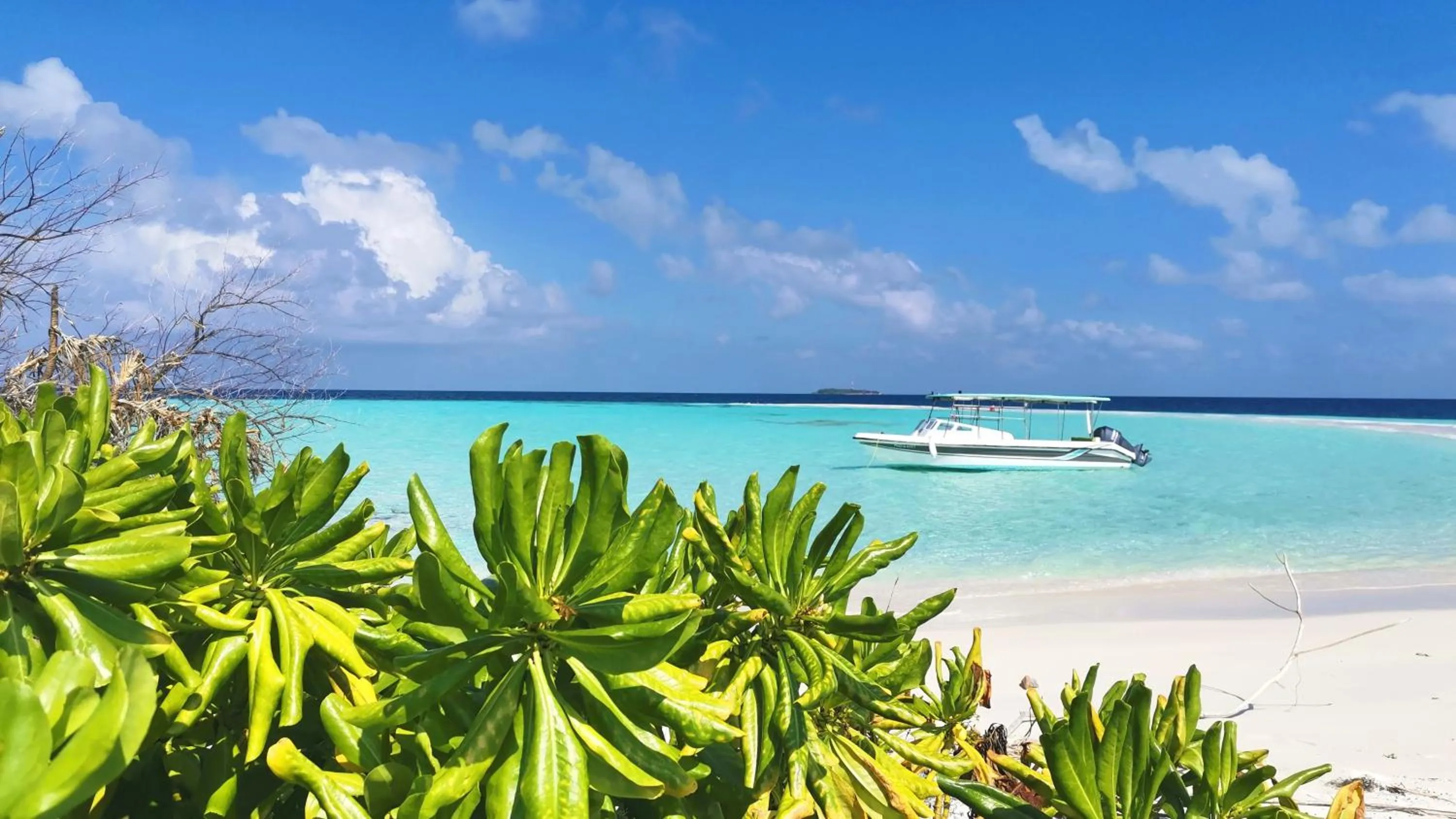 By the shade Maldives