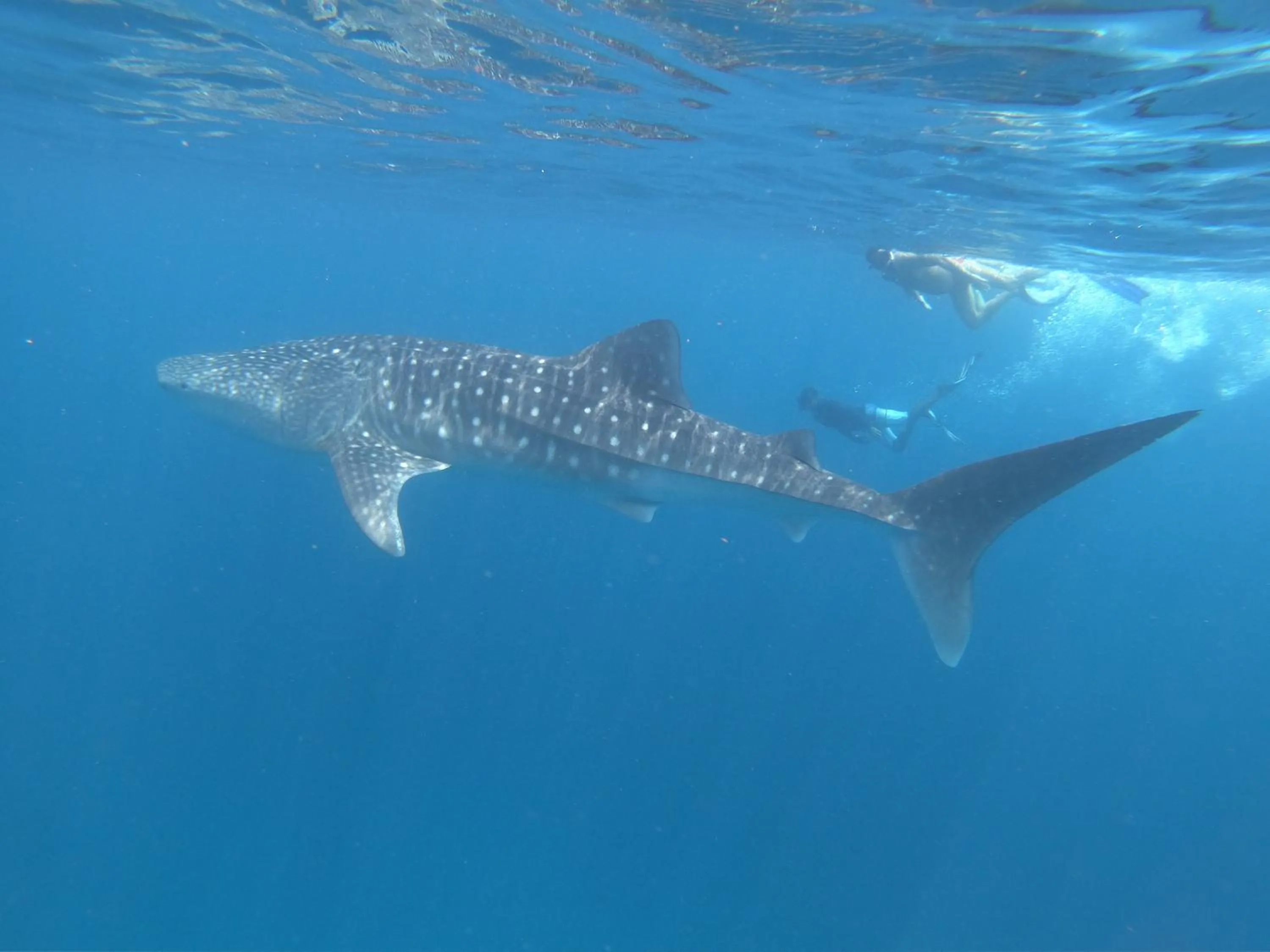 By the shade Maldives