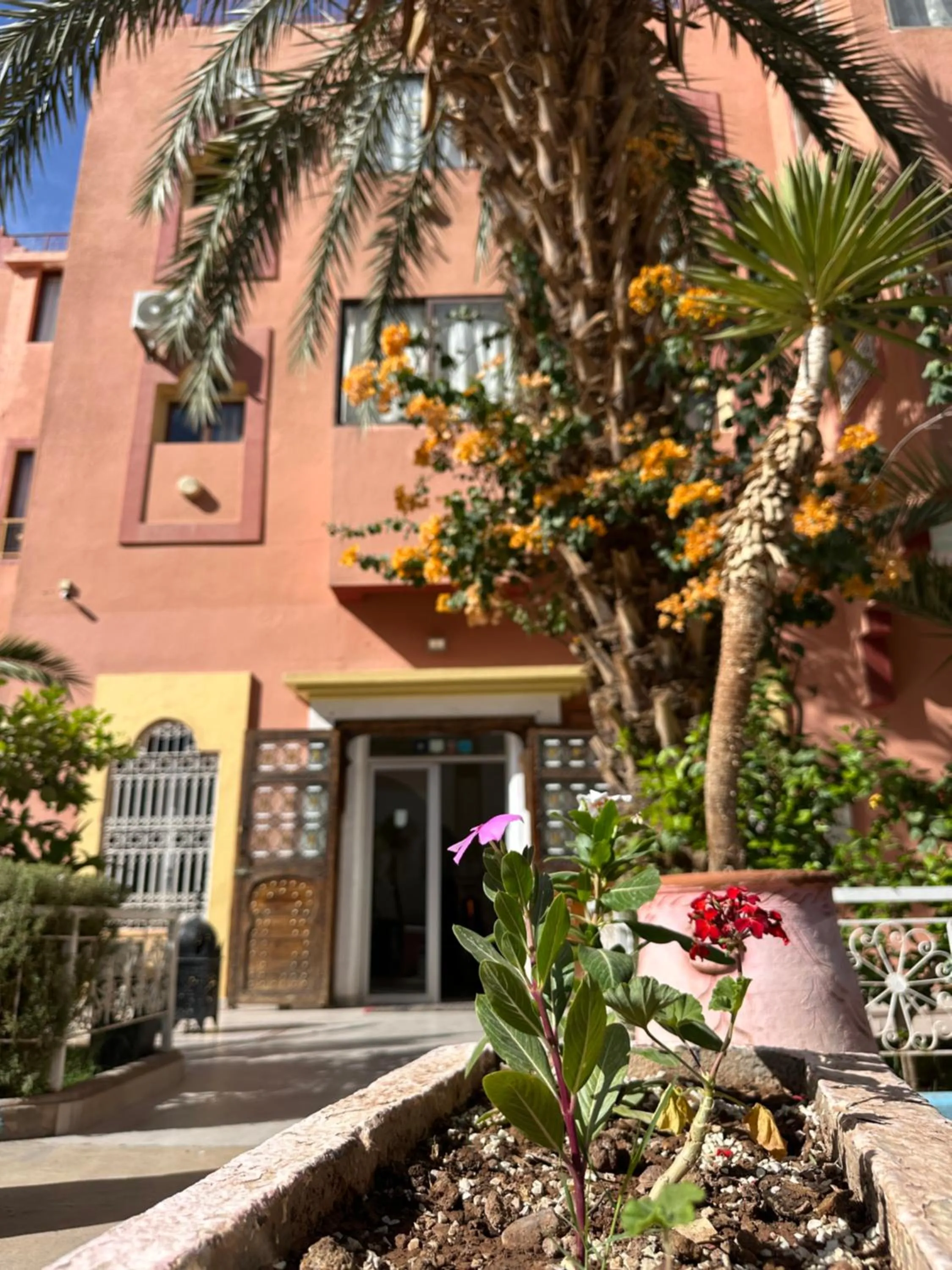 Property building in Hotel Riad Amlal