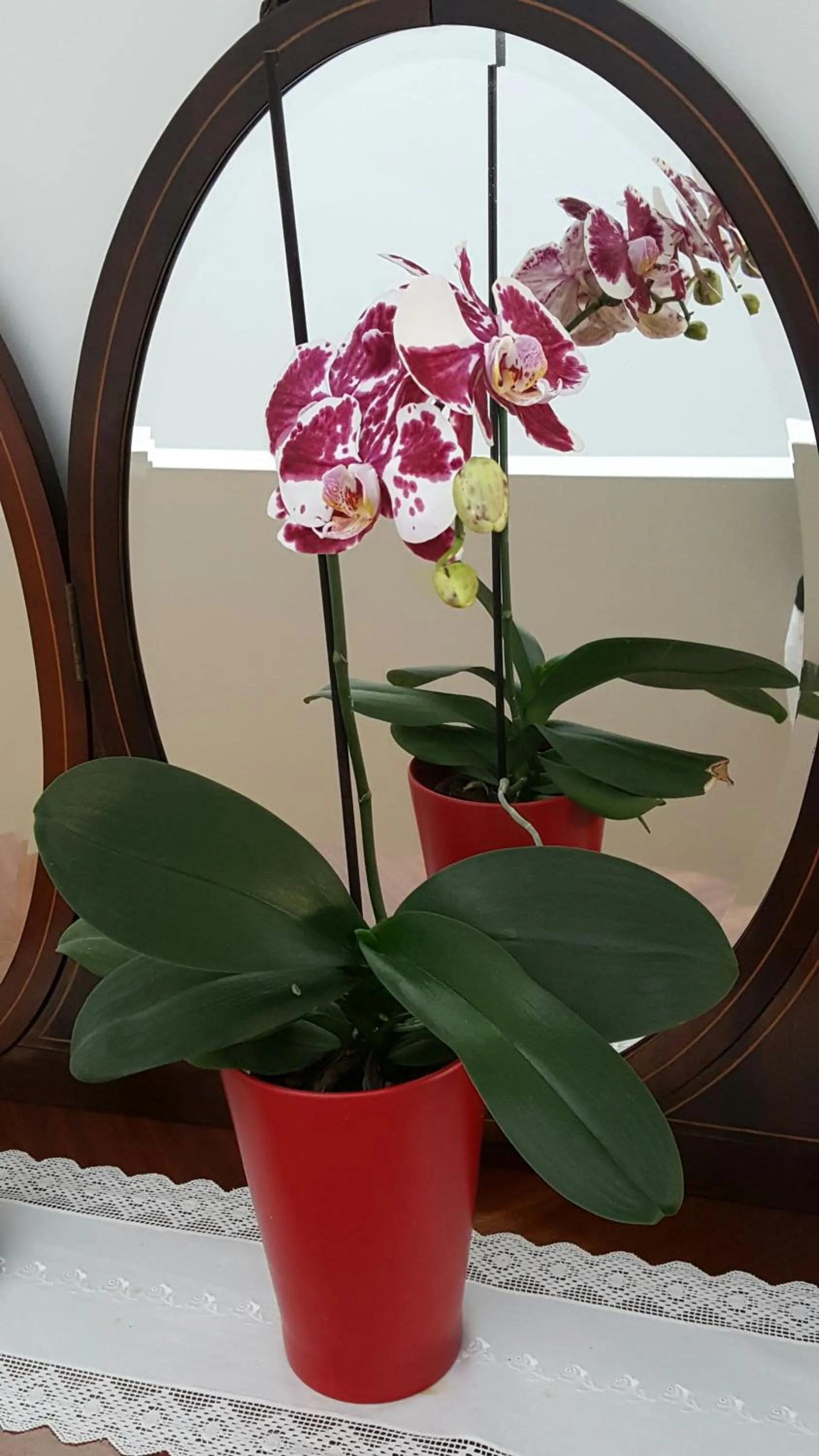 Decorative detail in Apartamentos Villa Bolhao