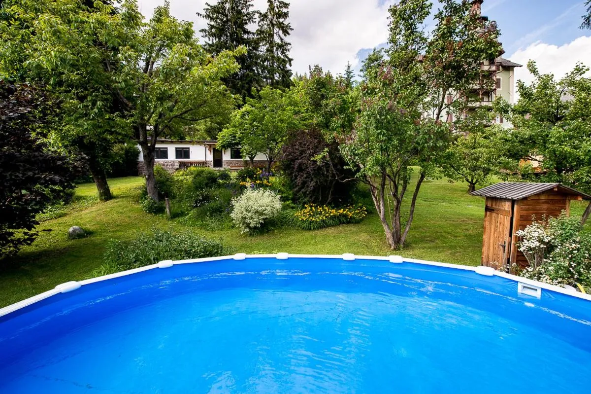 Swimming pool in AppartChalet LA RONDULA - 100m from Seceda