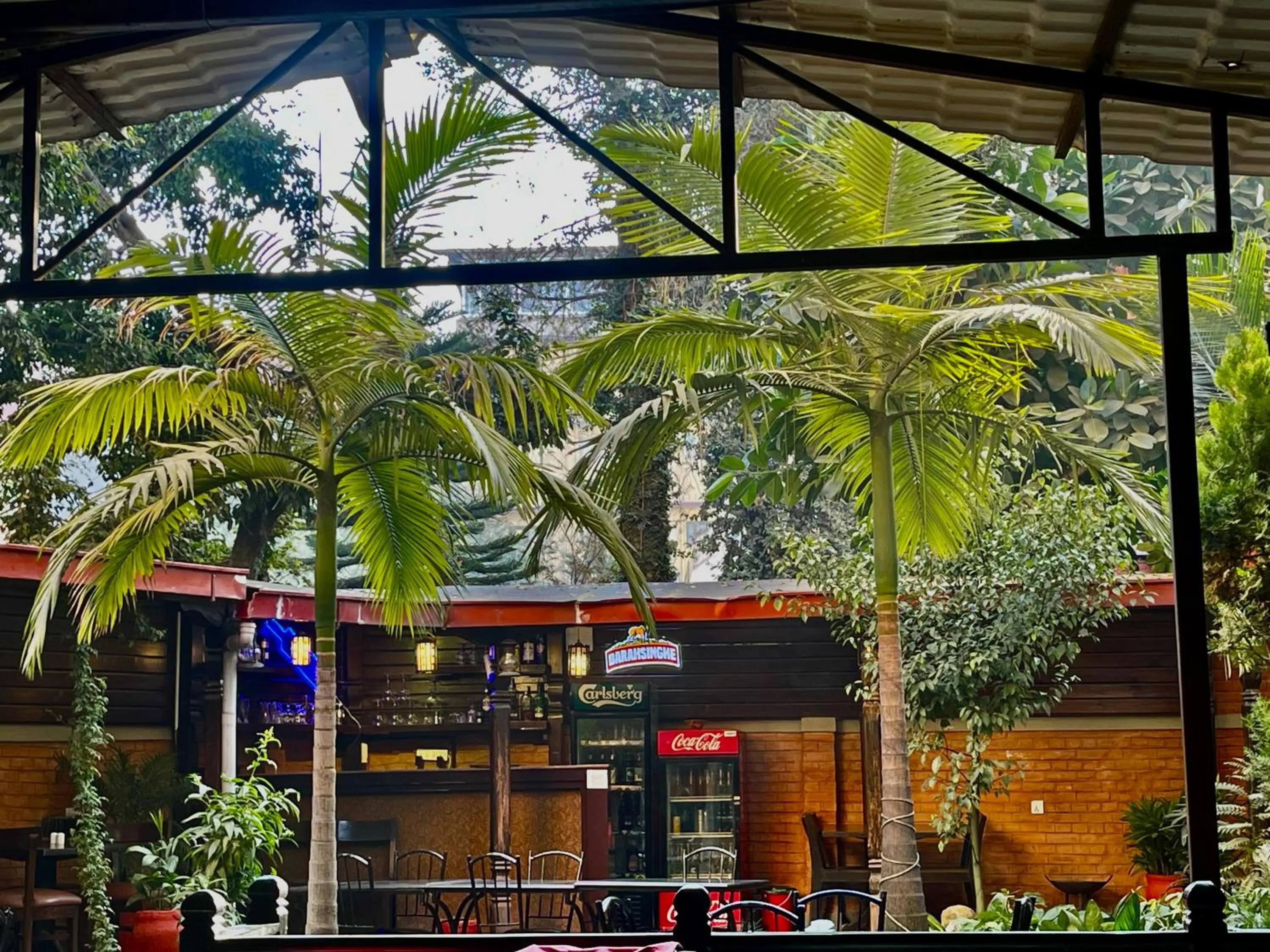 Garden in Hotel Buddha