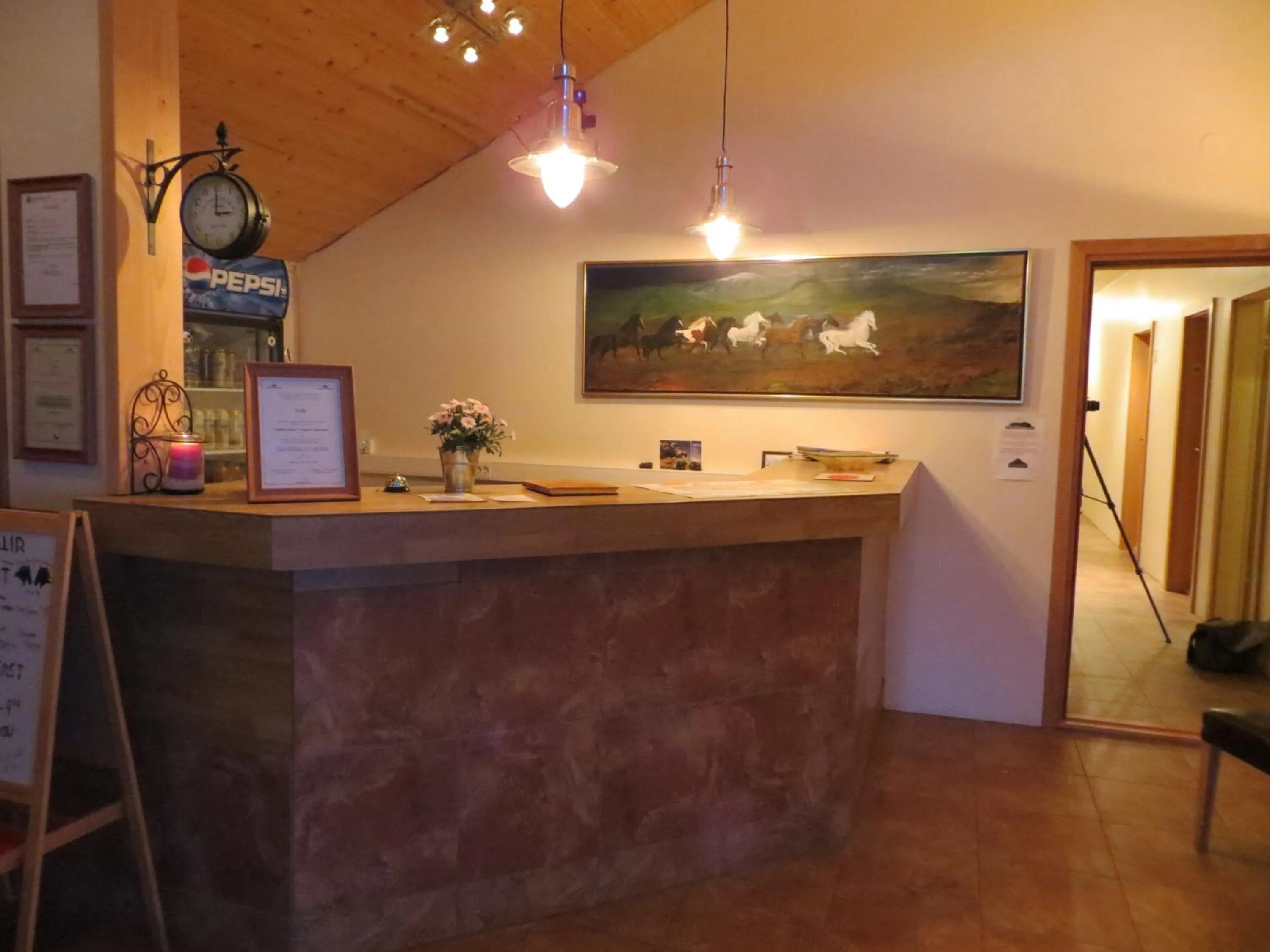 Lobby or reception in Guesthouse Vellir