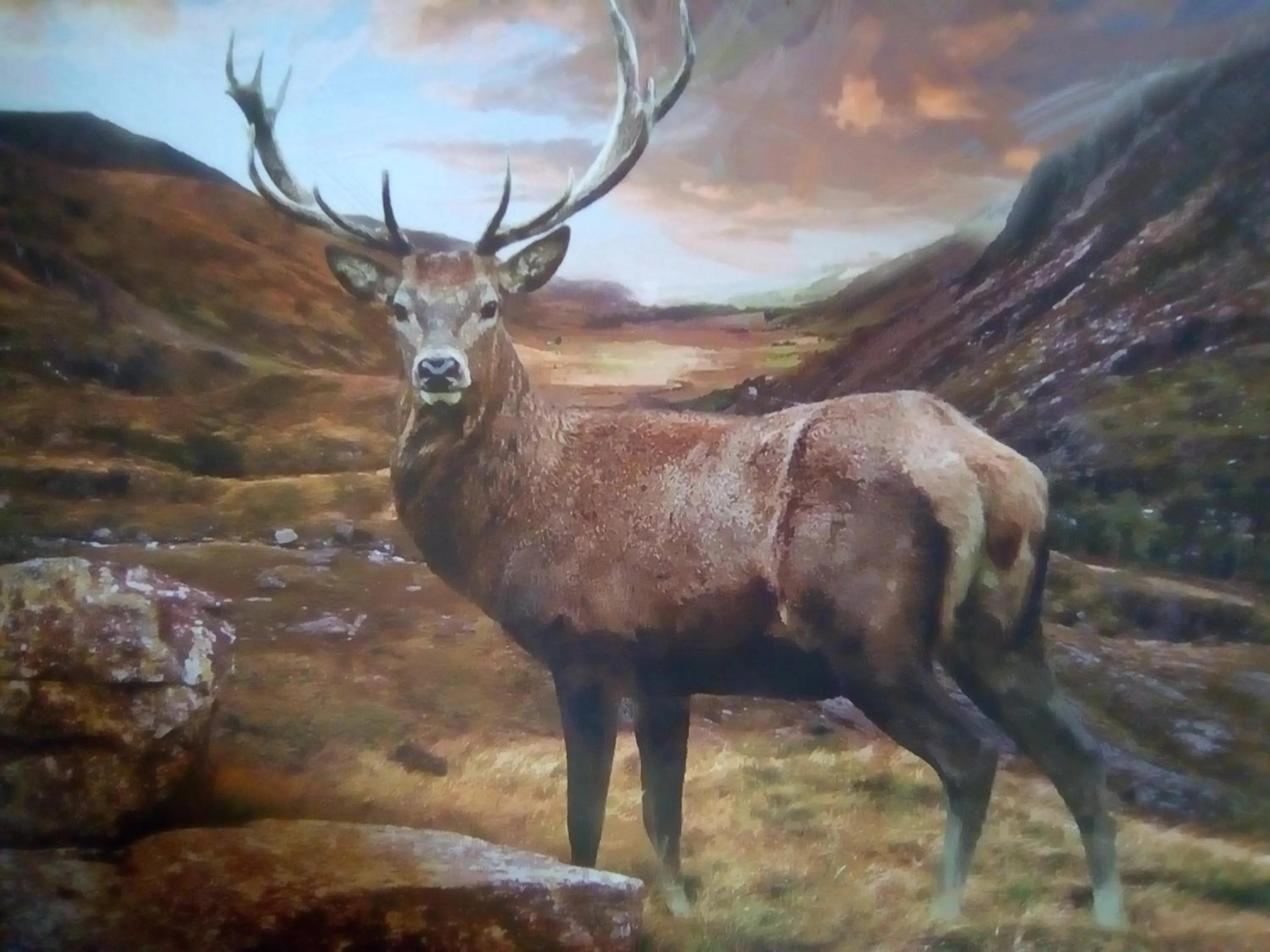 Hiking in Song of the Sea, Selkie House