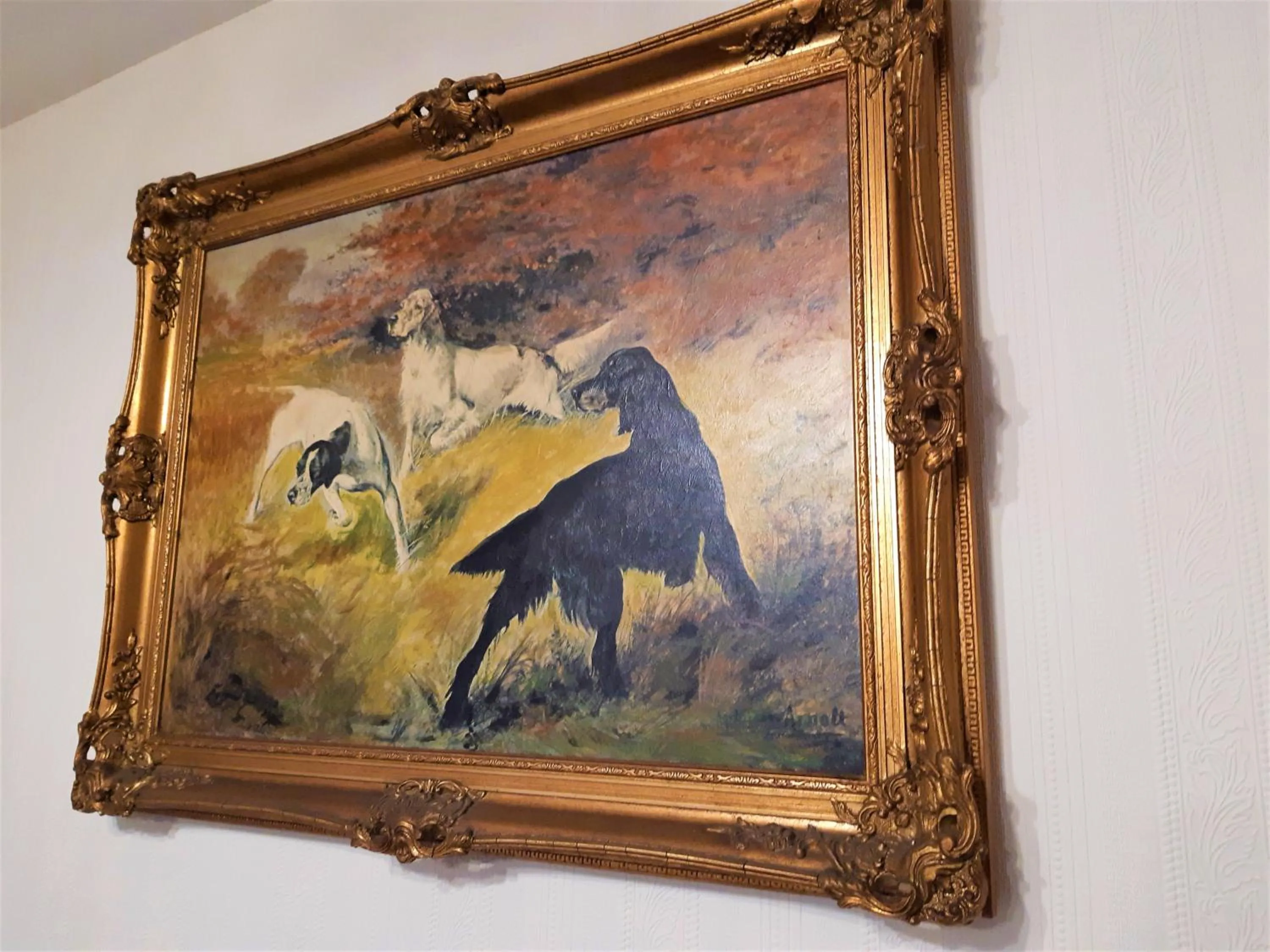 Communal lounge/ TV room in Song of the Sea, Selkie House