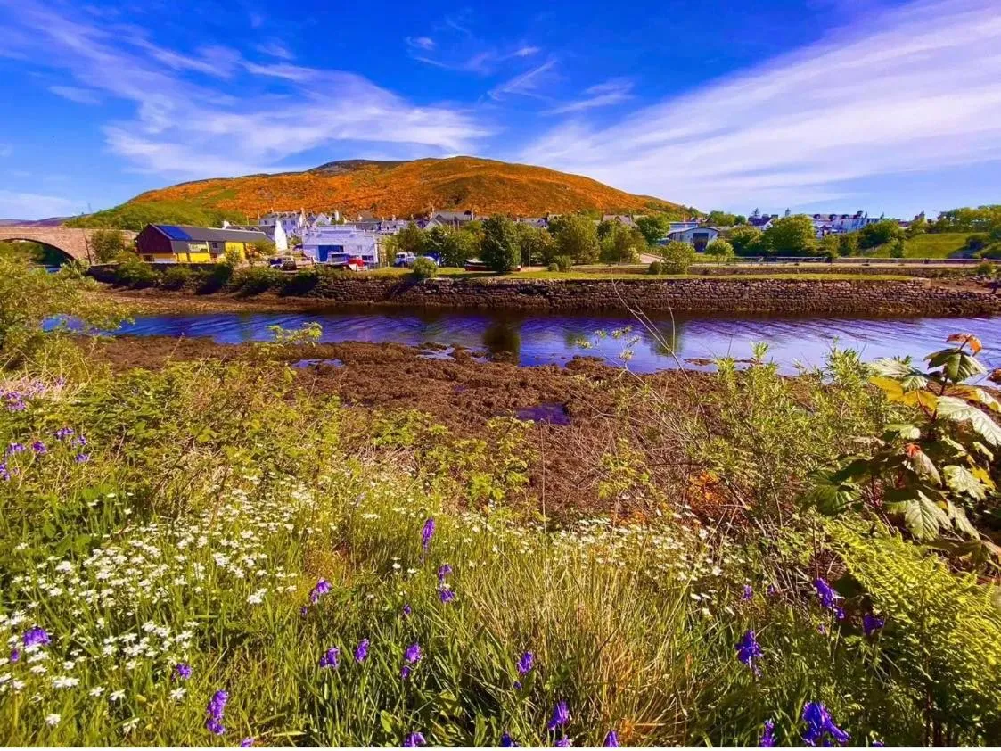 Song of the Sea, Selkie House