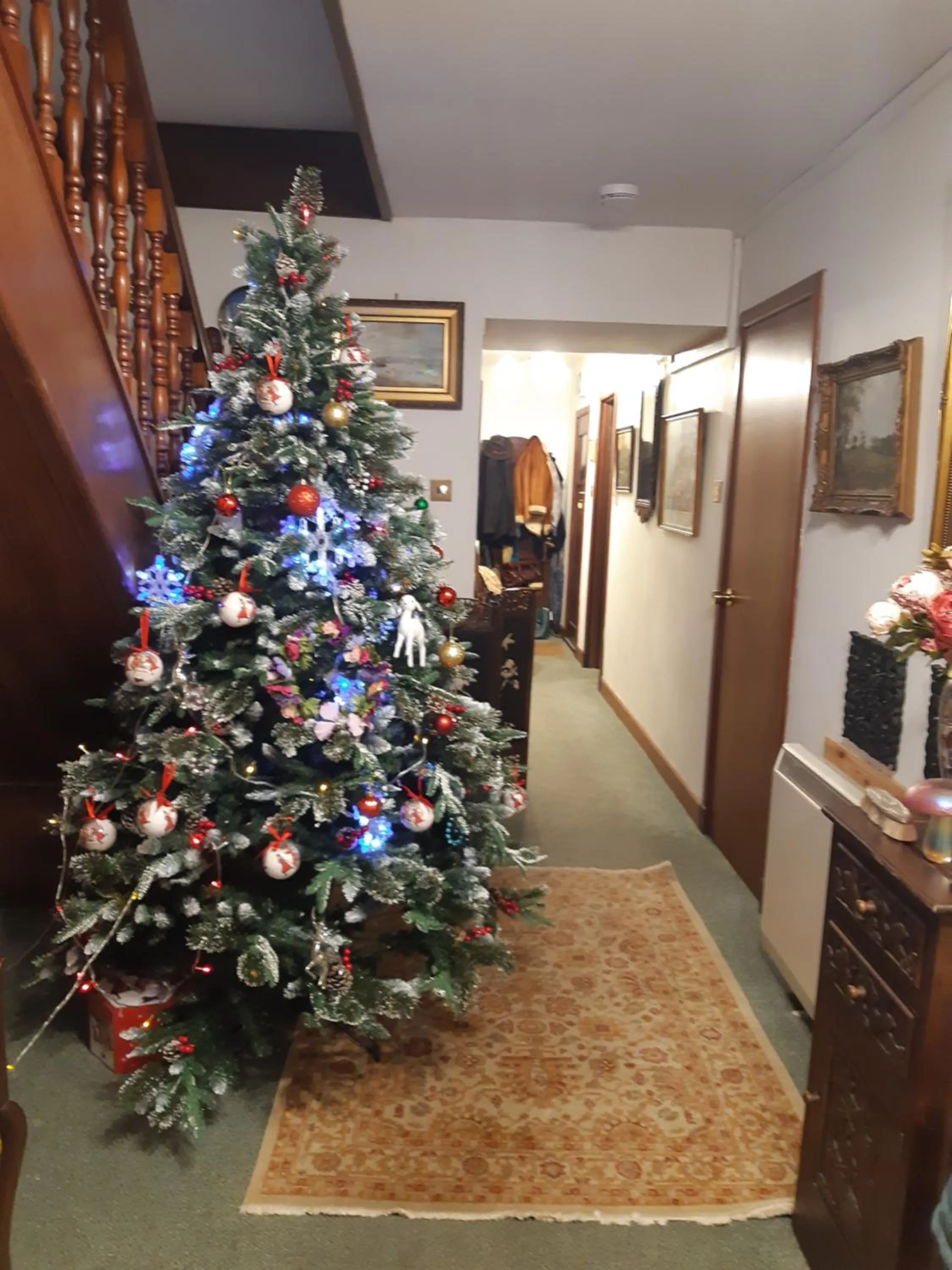 Beach in Song of the Sea, Selkie House