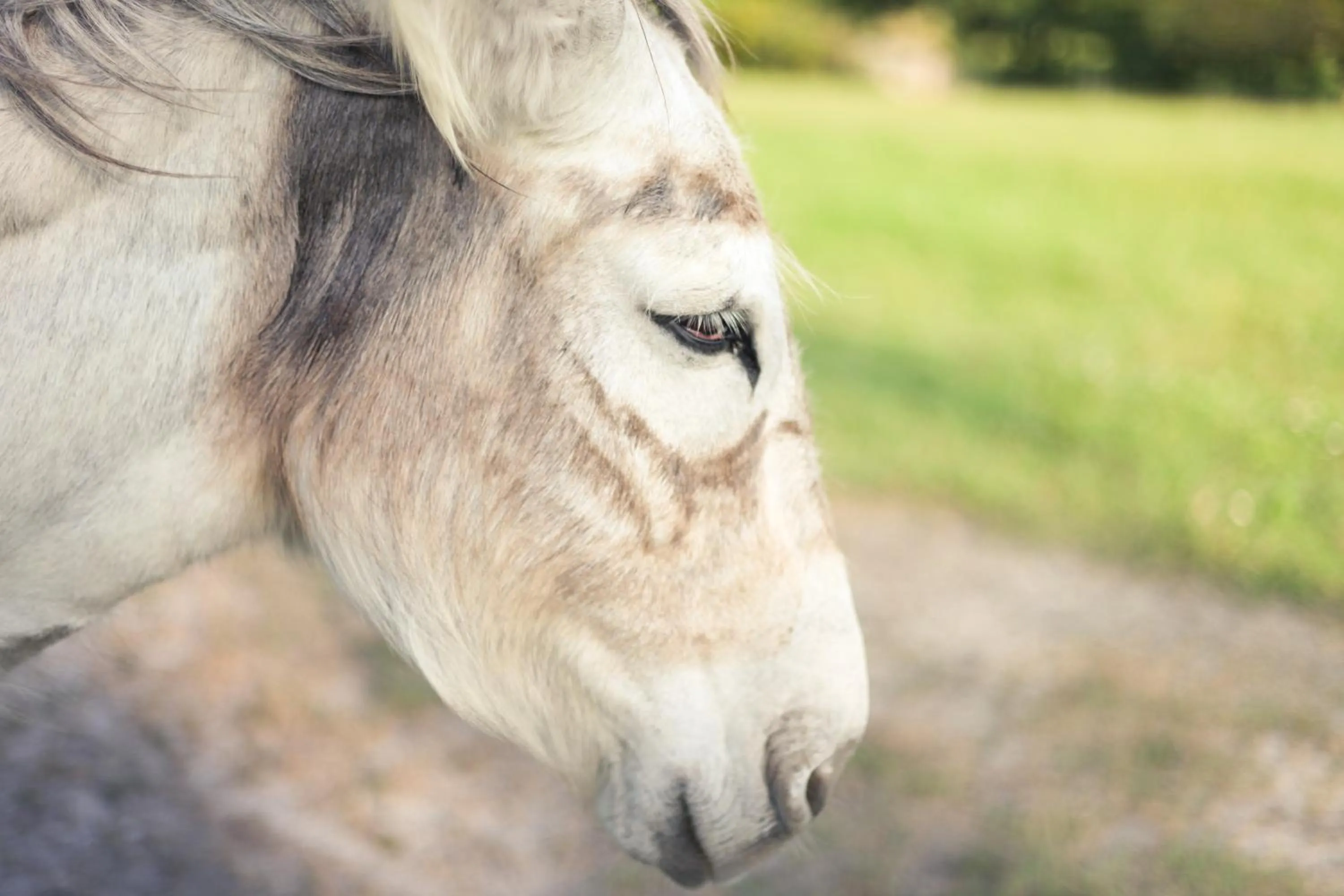 Day in Domaine de Larchey