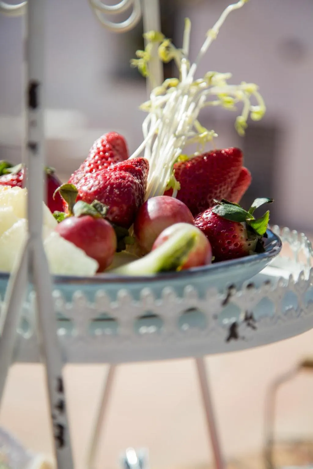 Food and drinks in Boutique Hotel Rancho Los Lobos