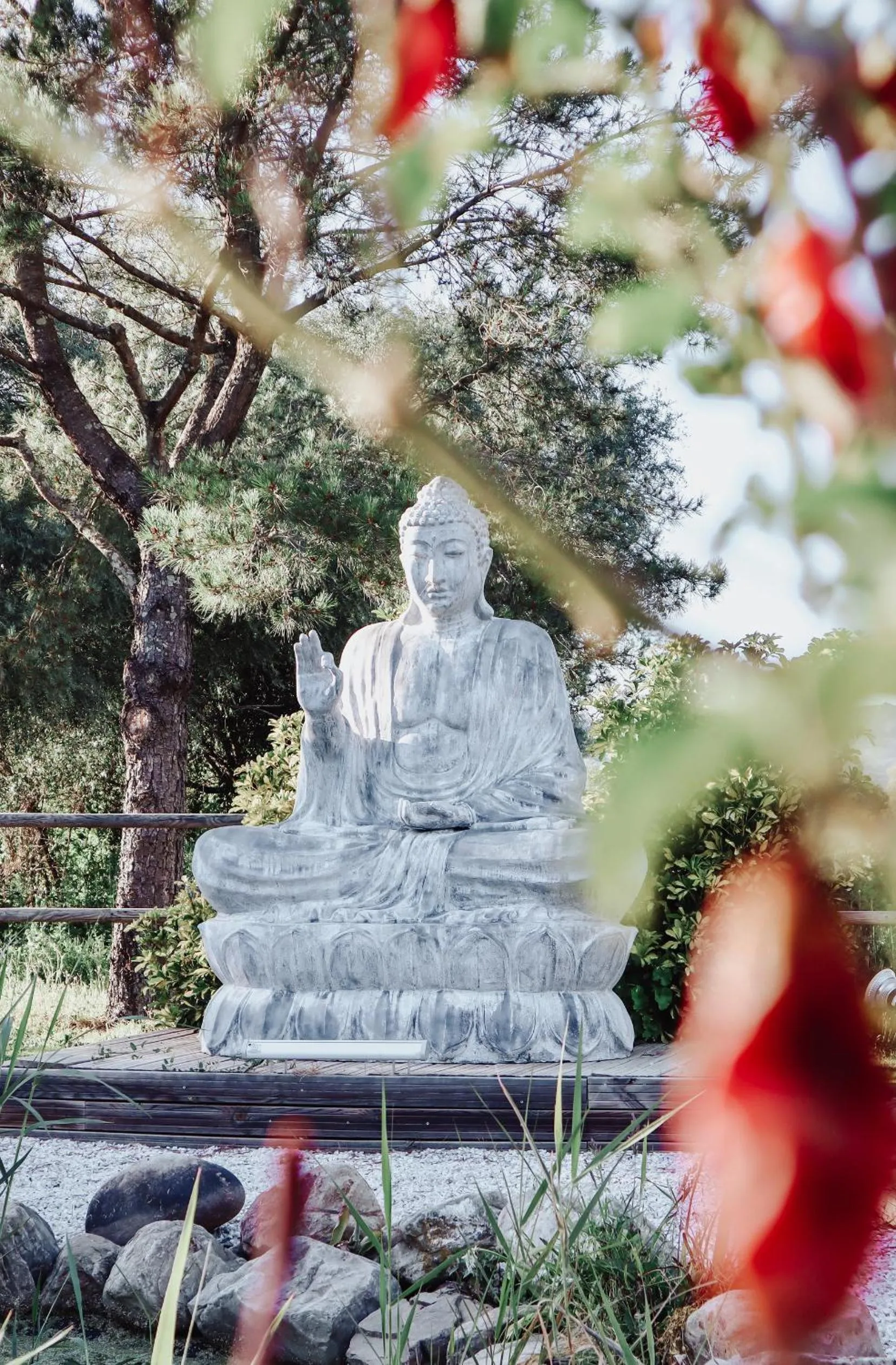 Garden in Boutique Hotel Rancho Los Lobos