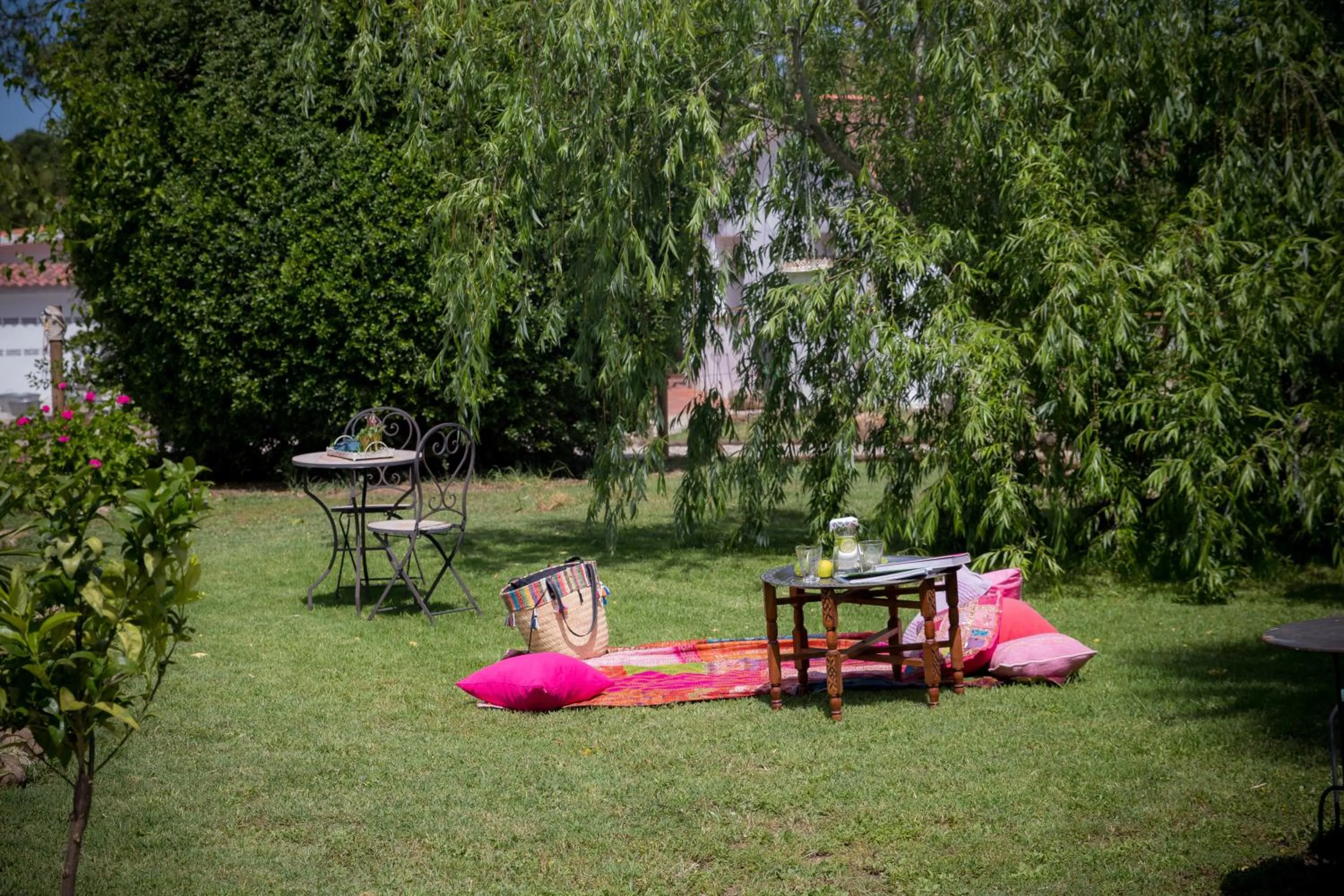 Garden view in Boutique Hotel Rancho Los Lobos