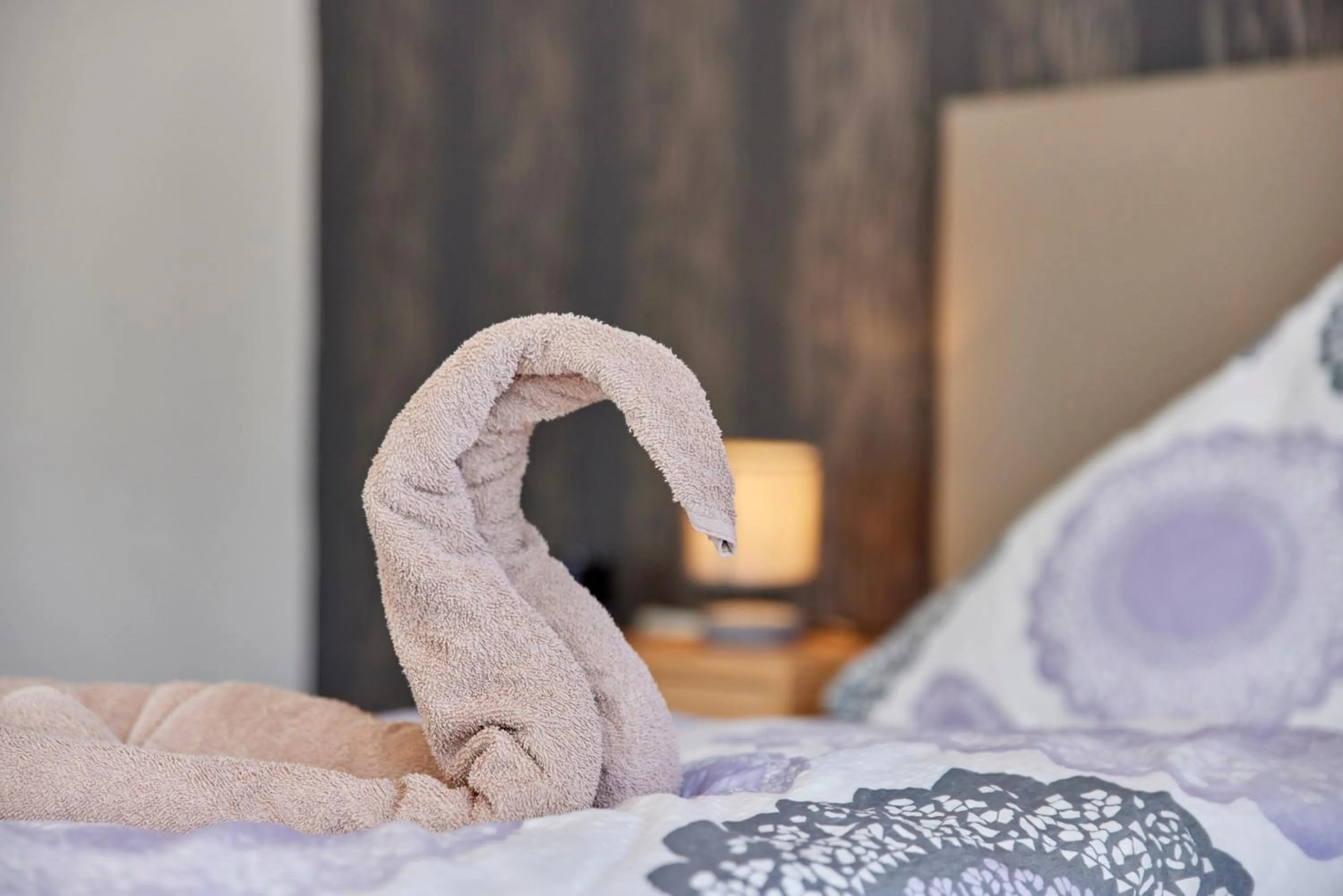 Other, Bed in Cafe Rosi