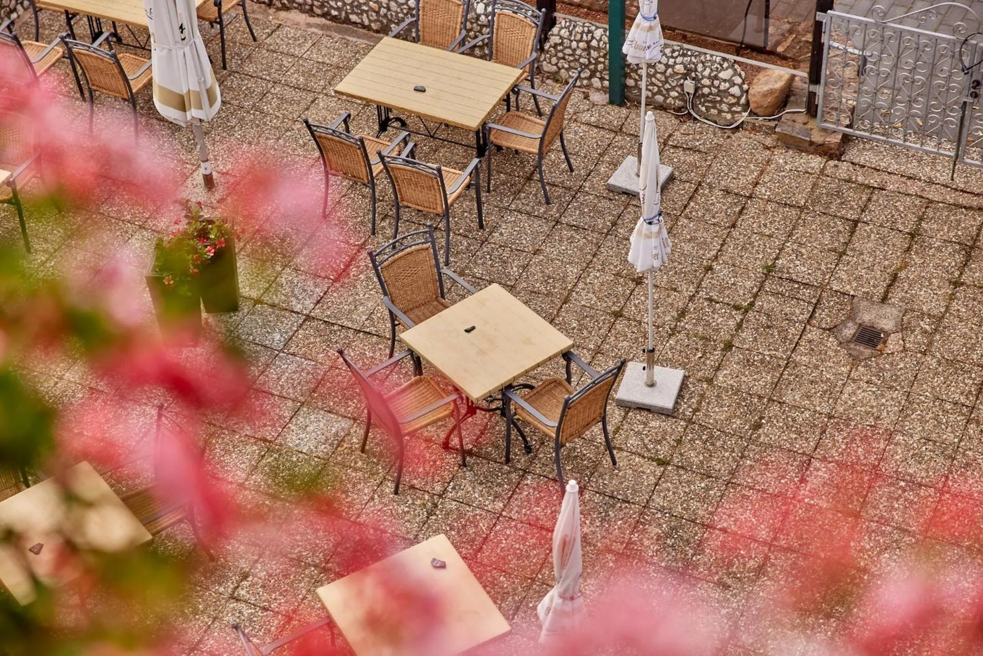 View (from property/room) in Cafe Rosi