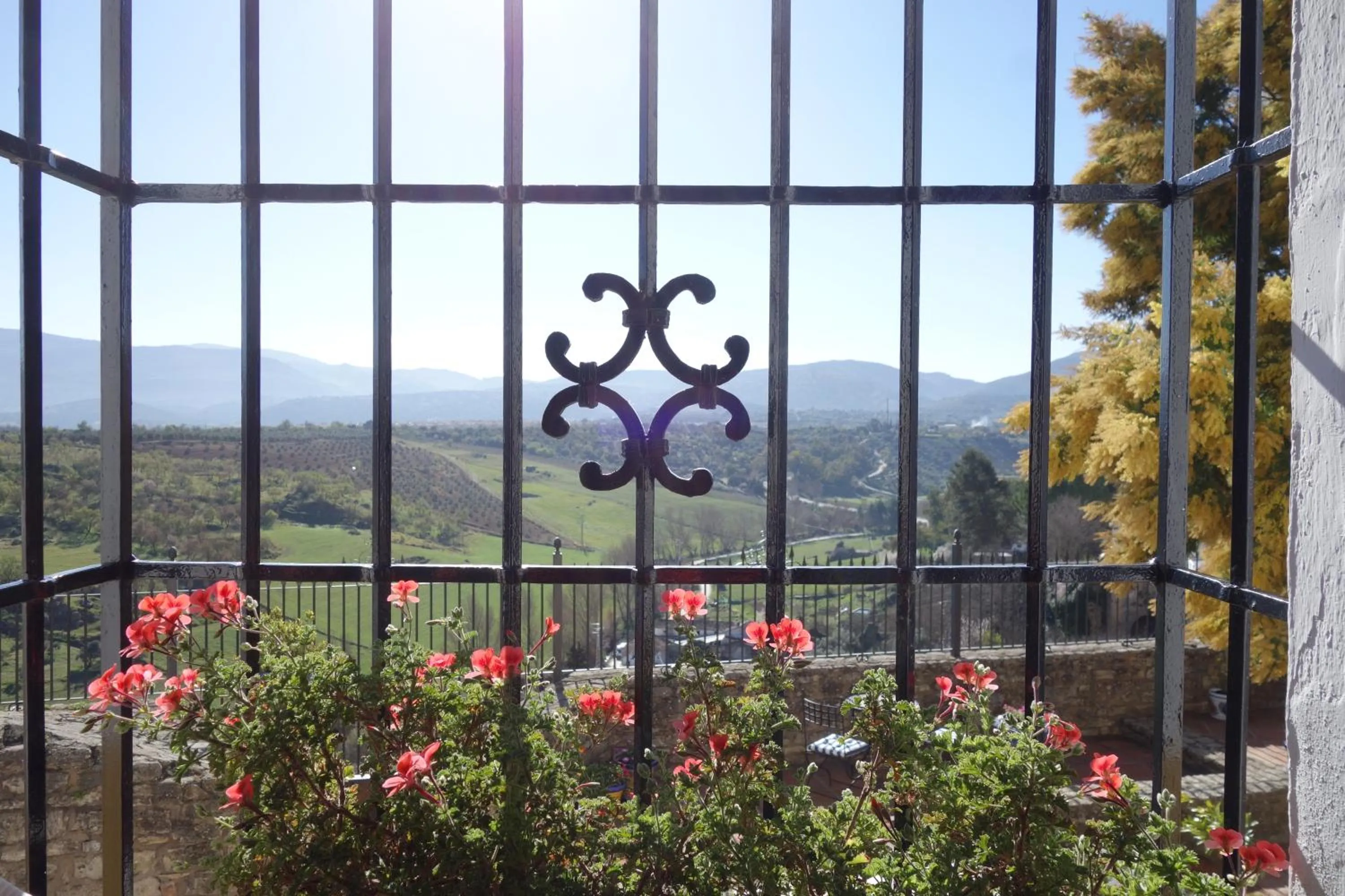 Mountain view in La Escondida Ronda, B&B