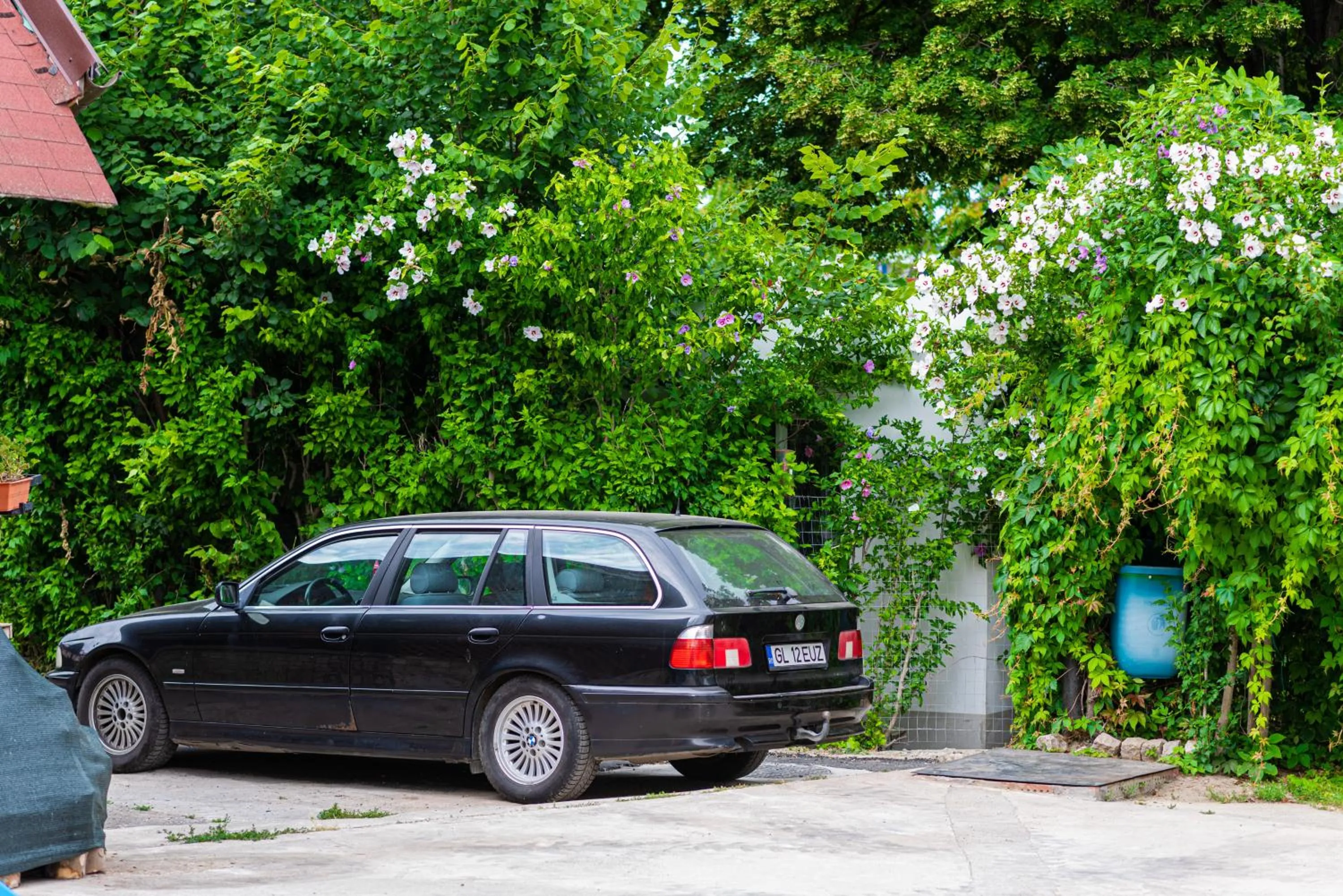 iVAVev IS US ByTheSea EforieSud