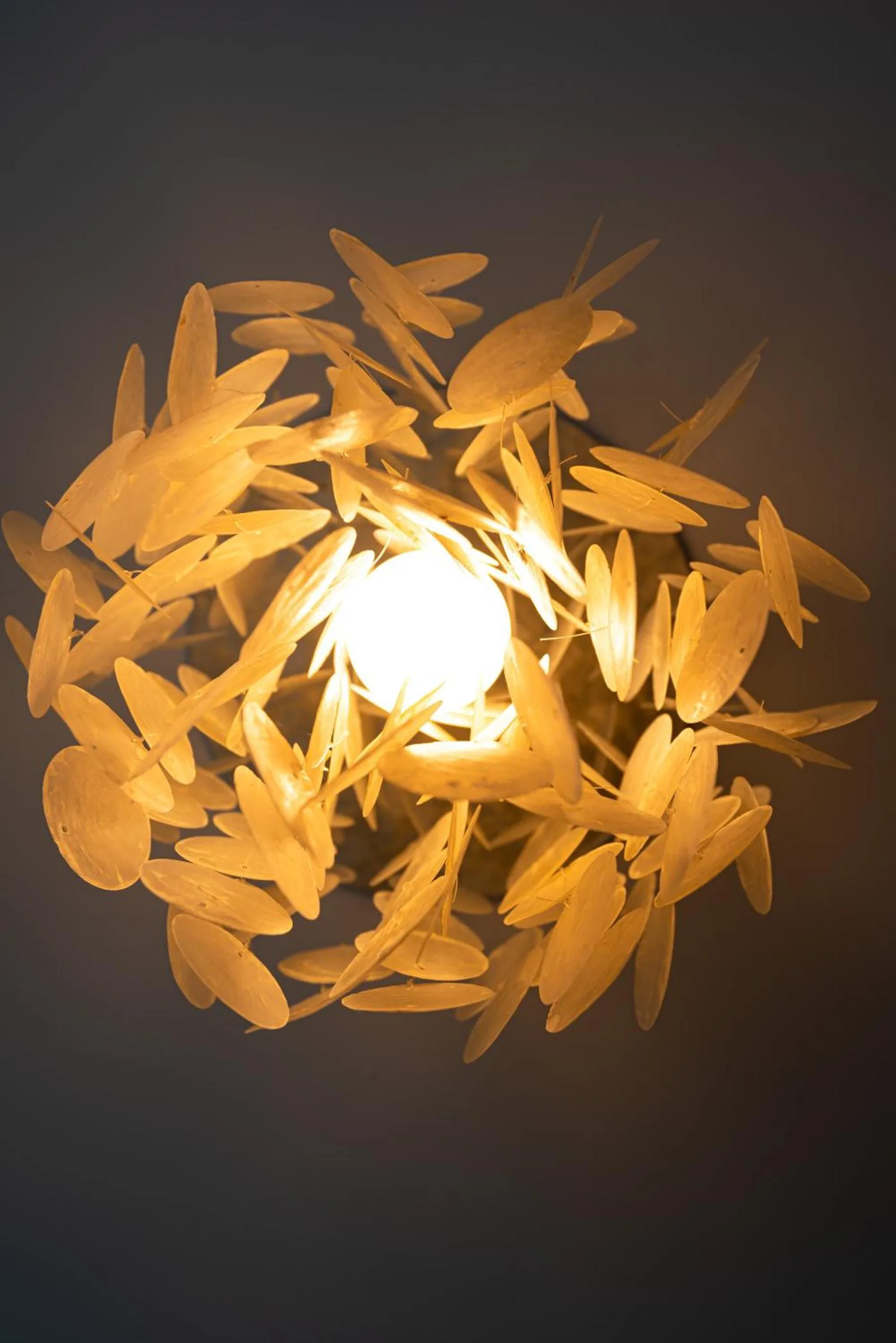 iVAVev IS US ByTheSea EforieSud