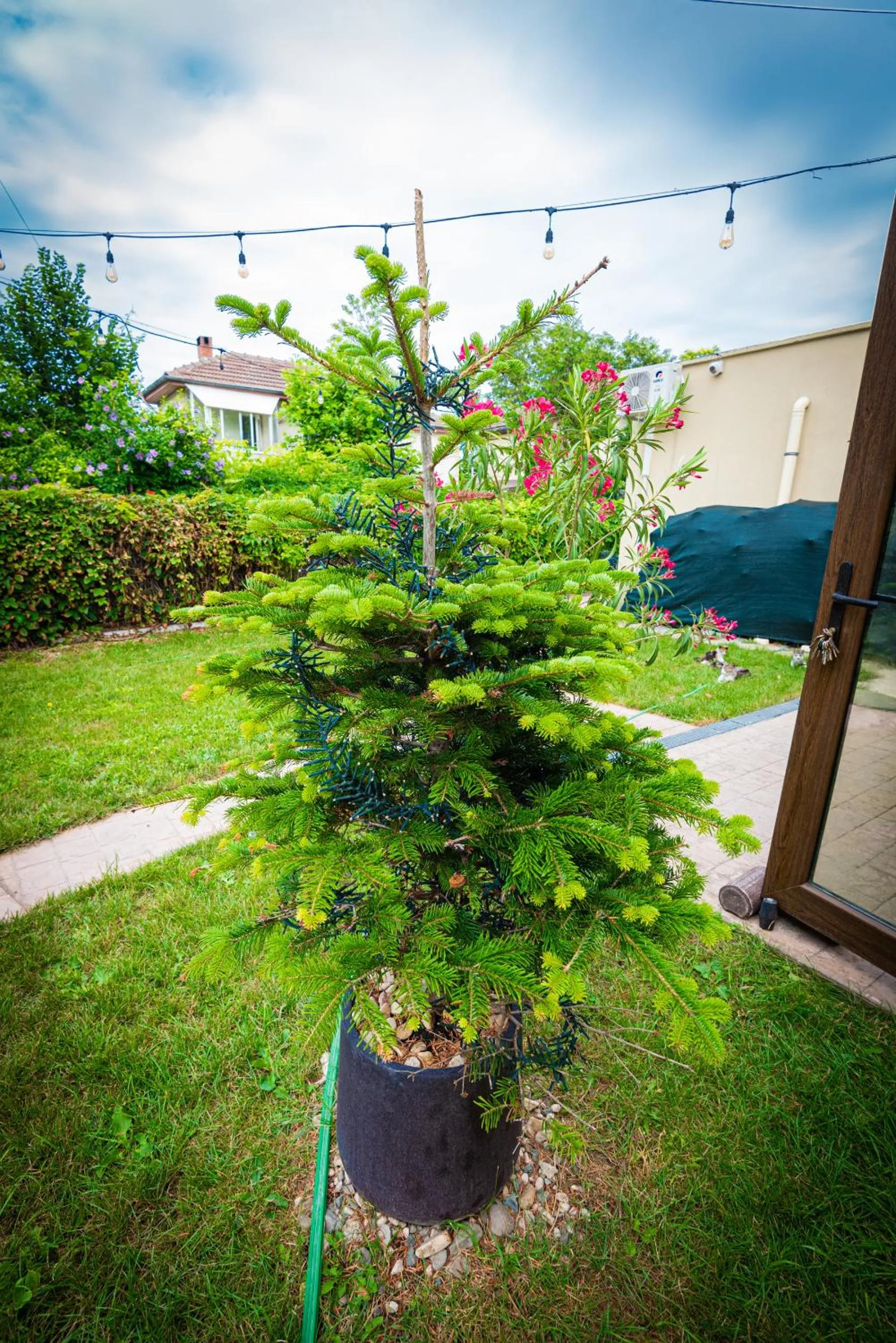 iVAVev IS US ByTheSea EforieSud