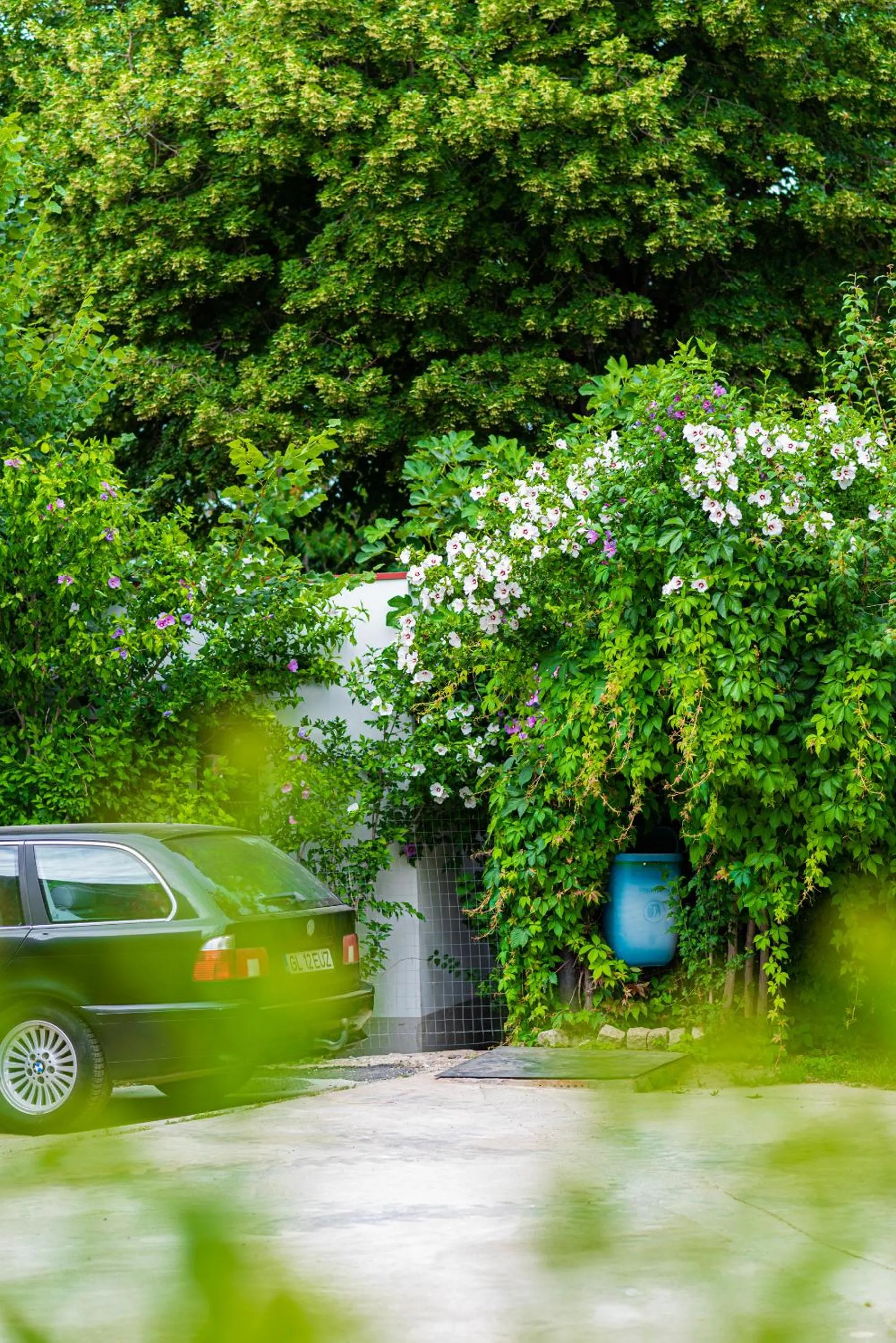 iVAVev IS US ByTheSea EforieSud