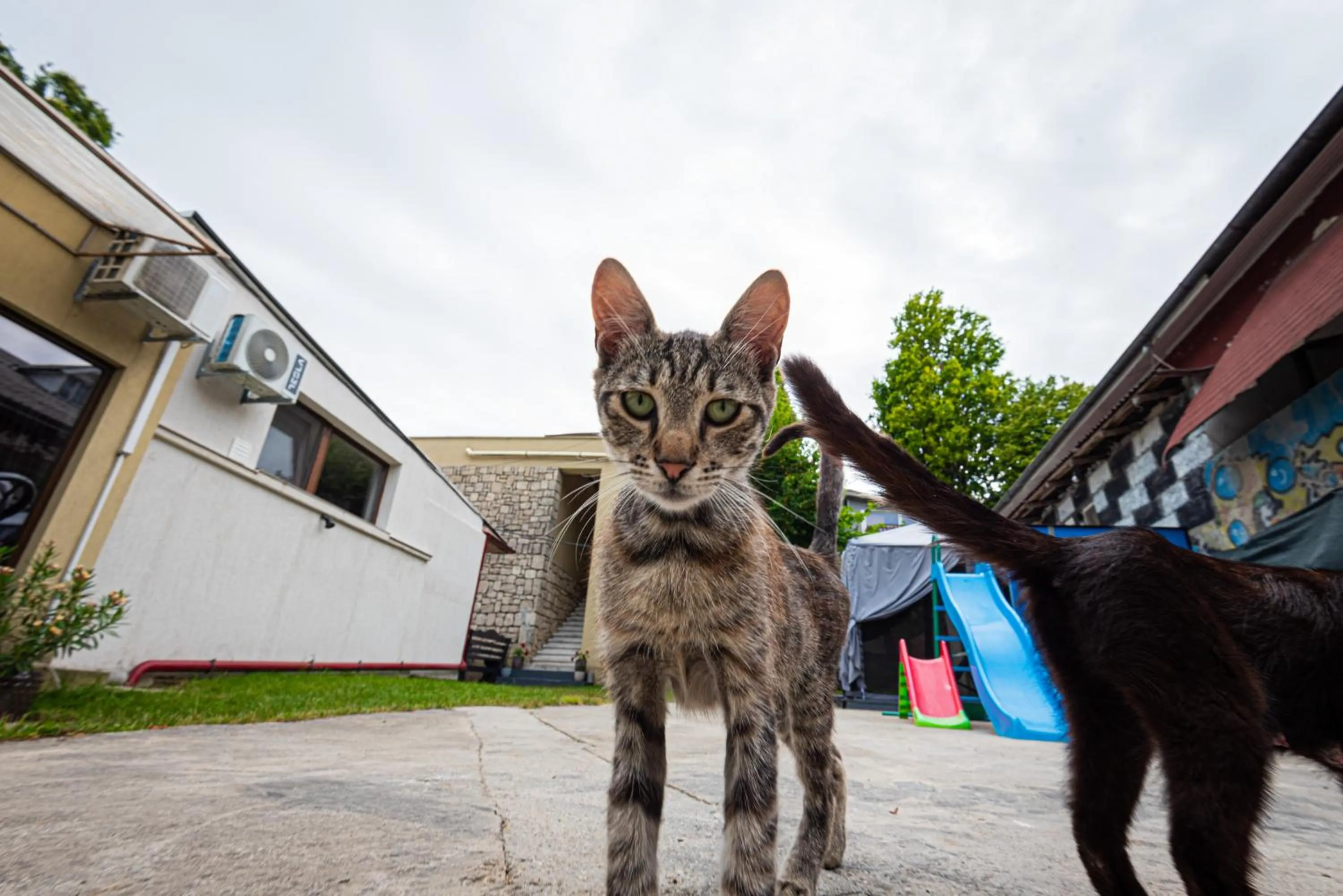 iVAVev IS US ByTheSea EforieSud