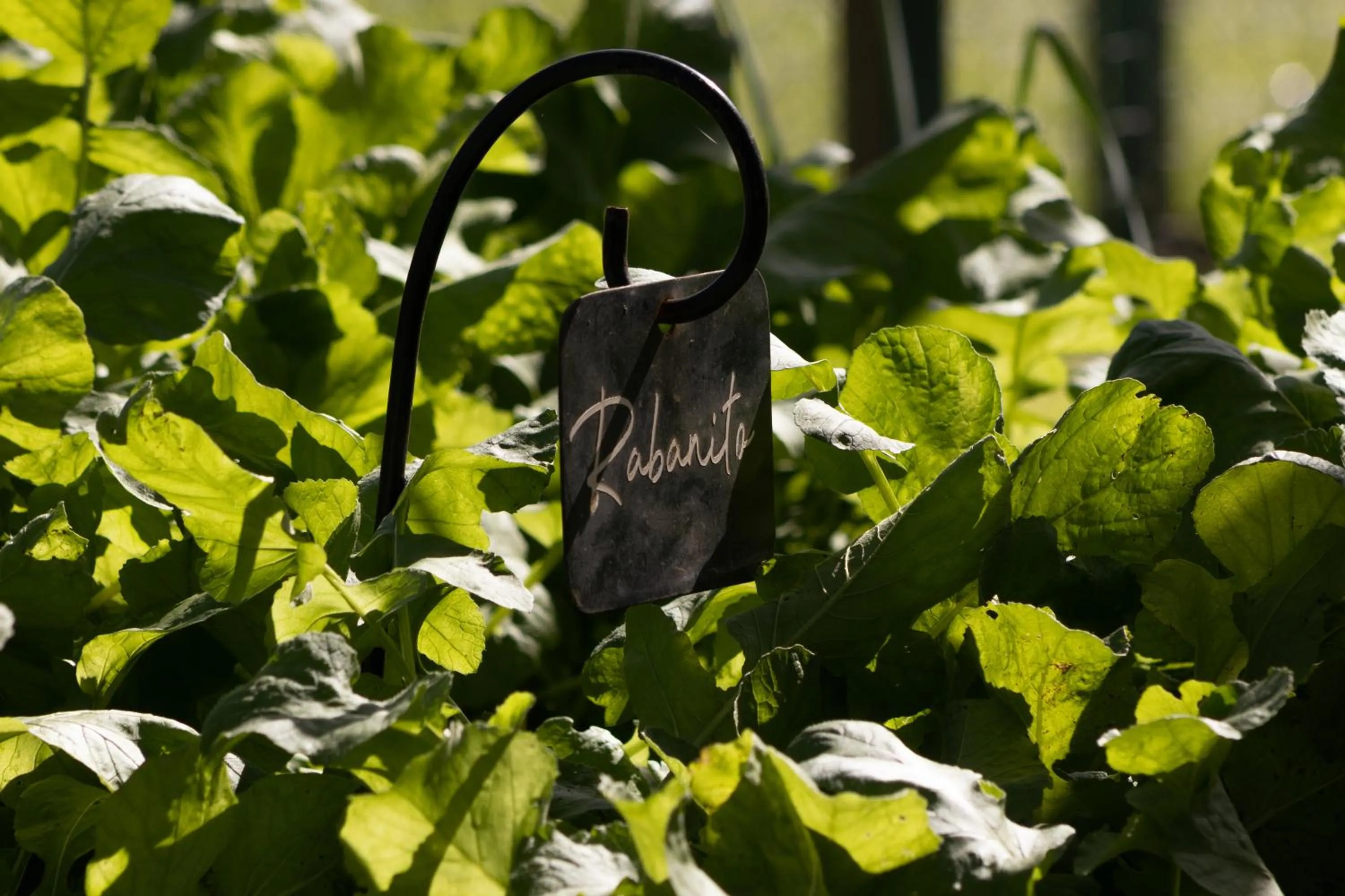 Activities in El Colibri - Relais & Châteaux