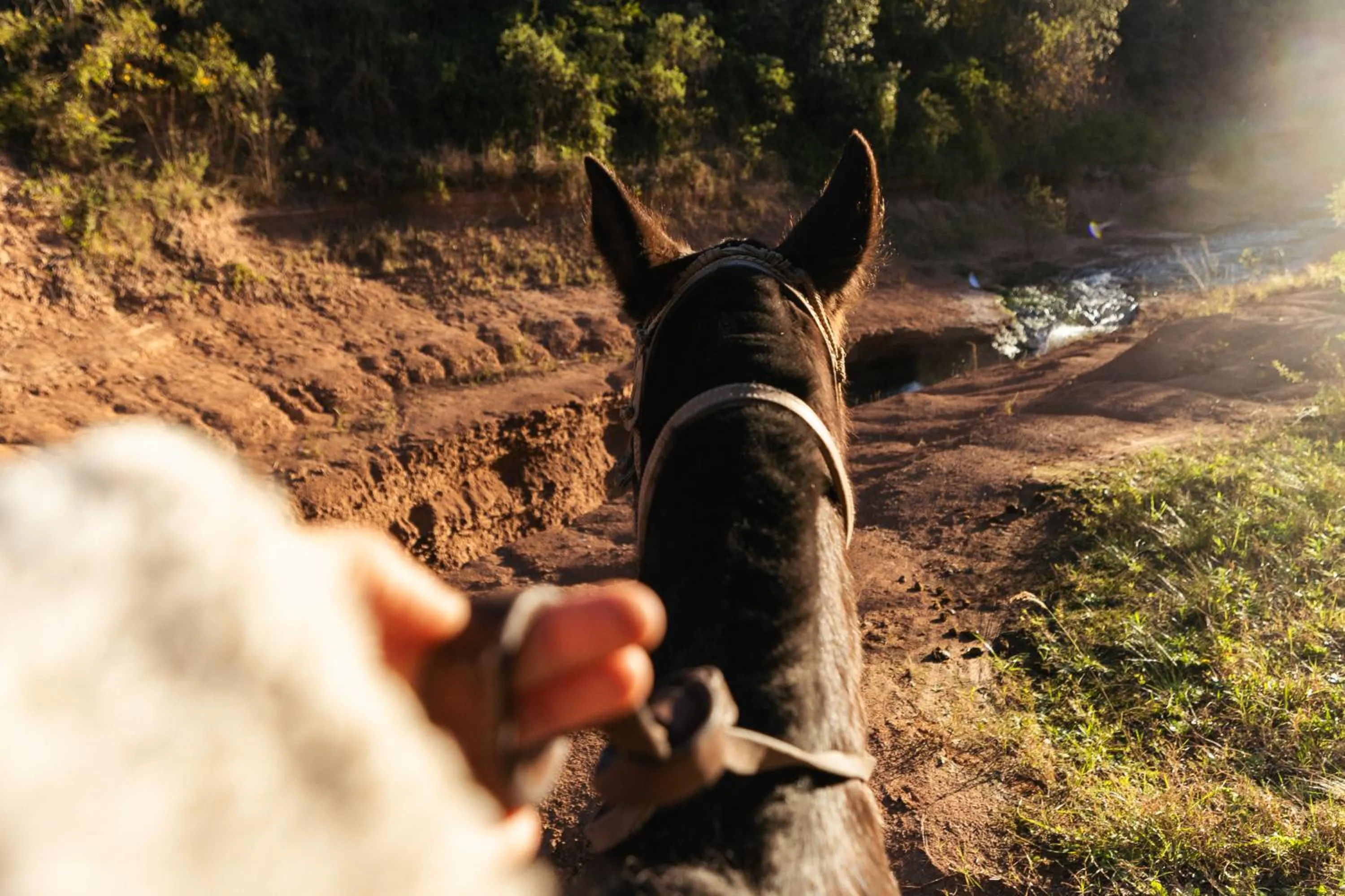 Activities in El Colibri - Relais & Châteaux