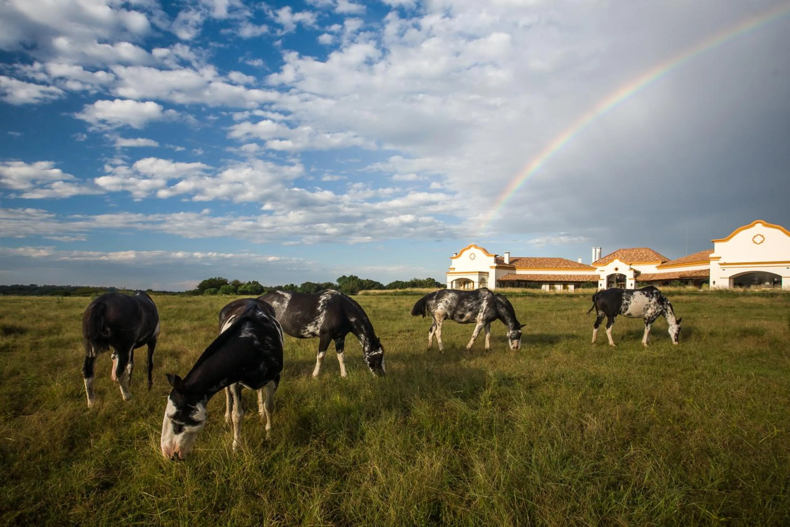 Spring in El Colibri - Relais & Châteaux