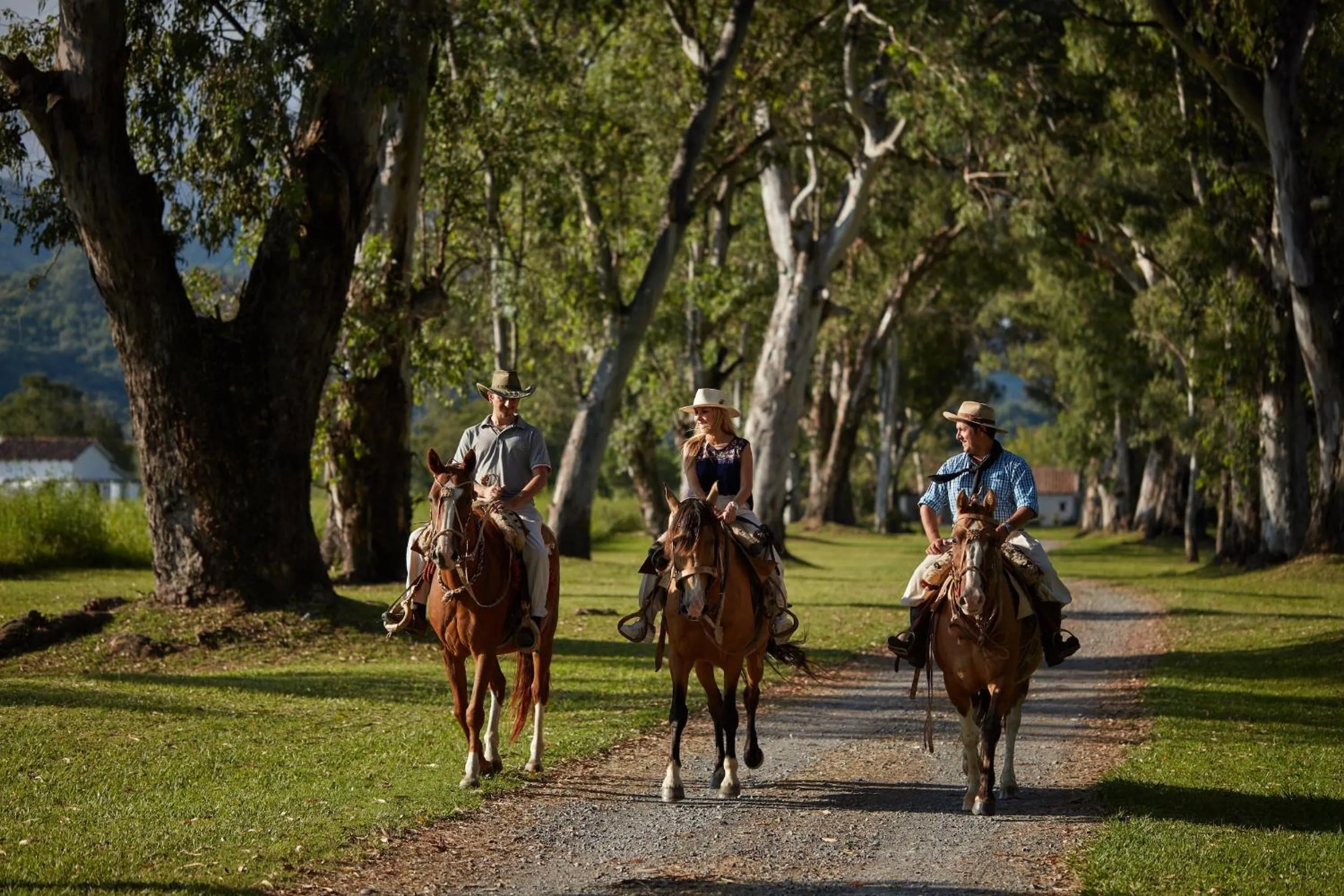 Spring in House of Jasmines Relais & Châteaux