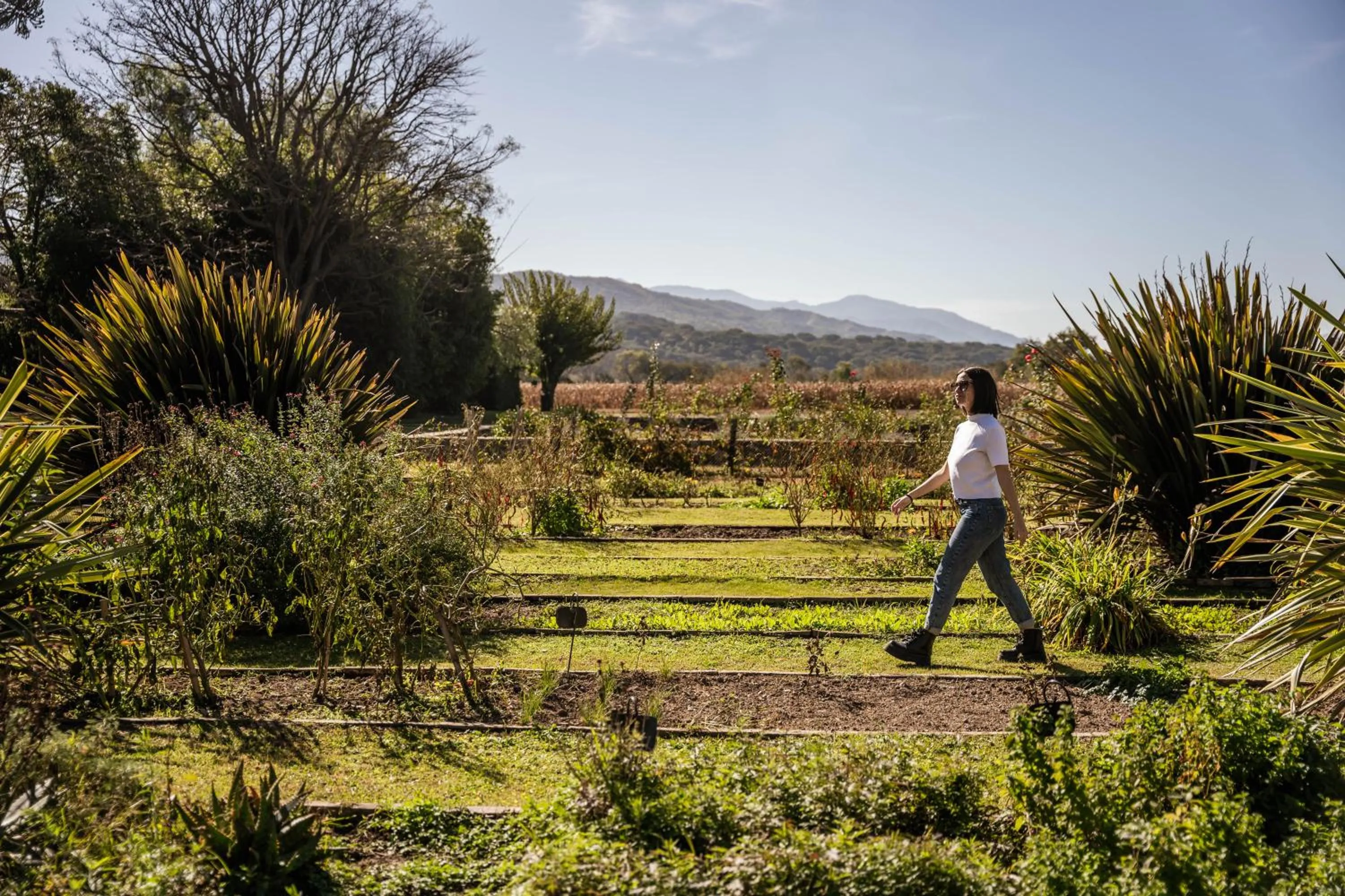 Natural landscape in House of Jasmines Relais & Châteaux