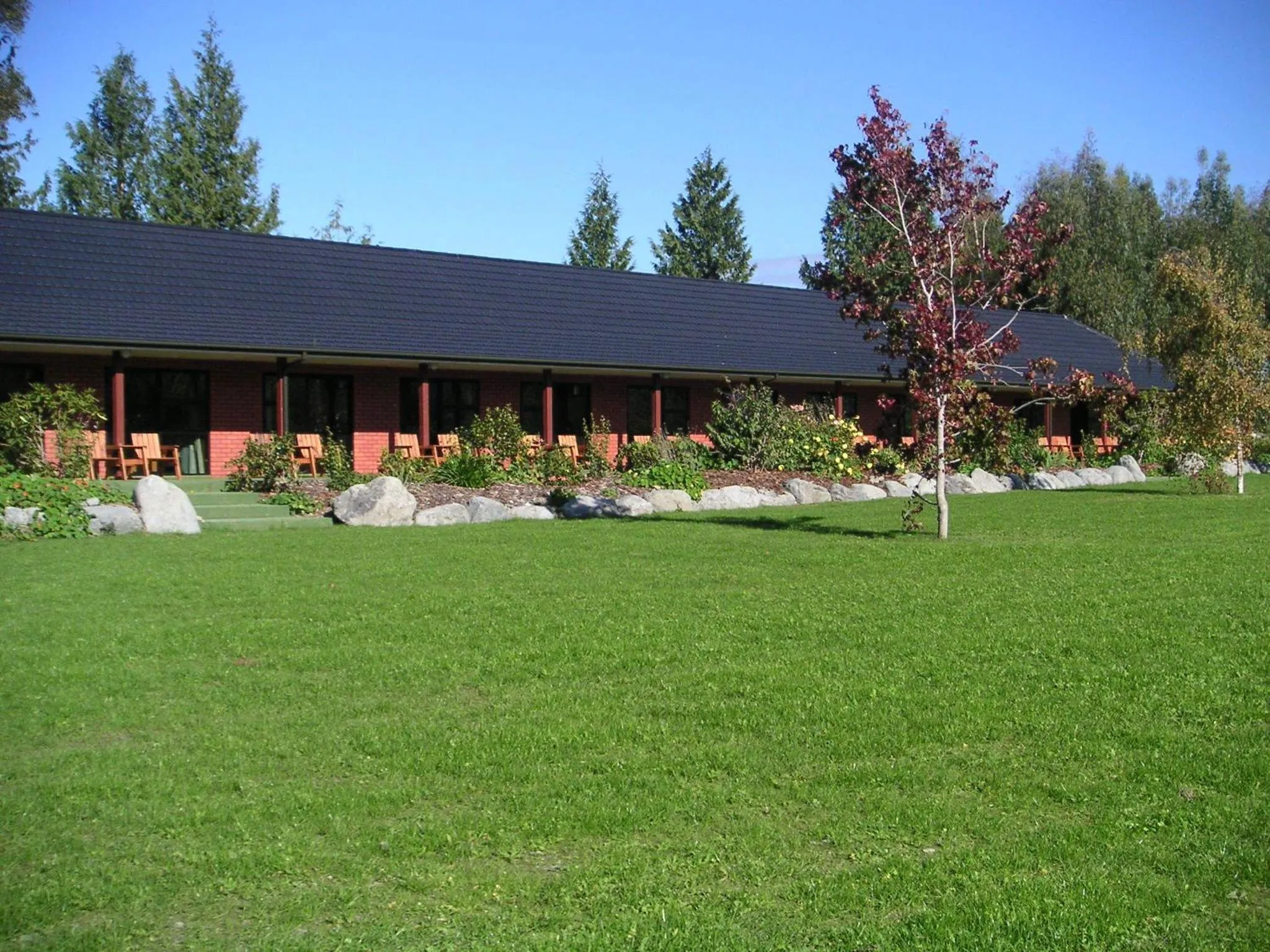 Garden in Donegal House