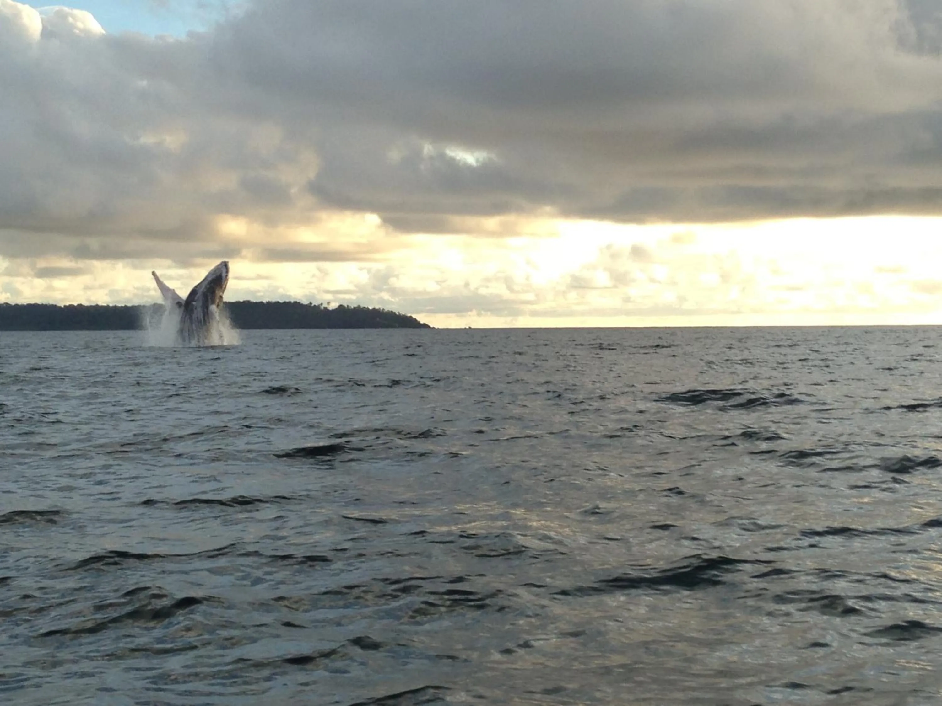 Natural landscape in Ecohotel Linda Judith