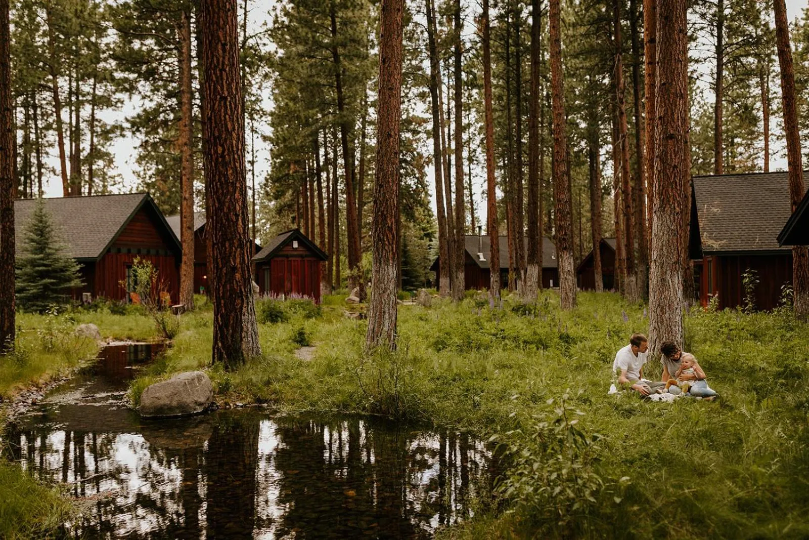 Area and facilities in FivePine Lodge