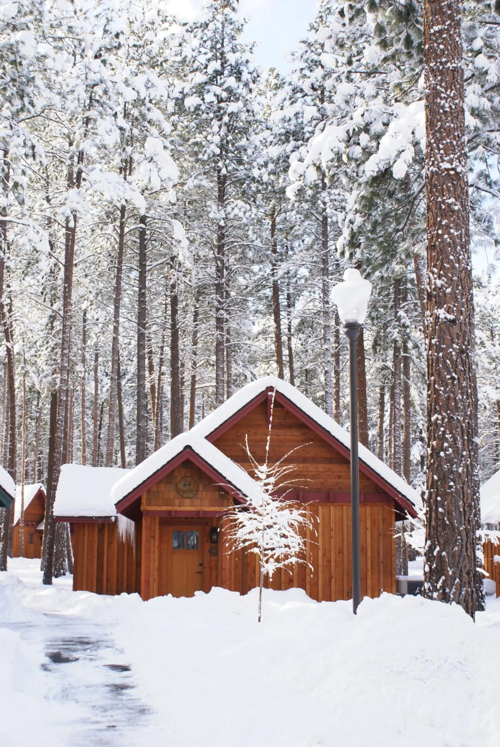 Property building in FivePine Lodge