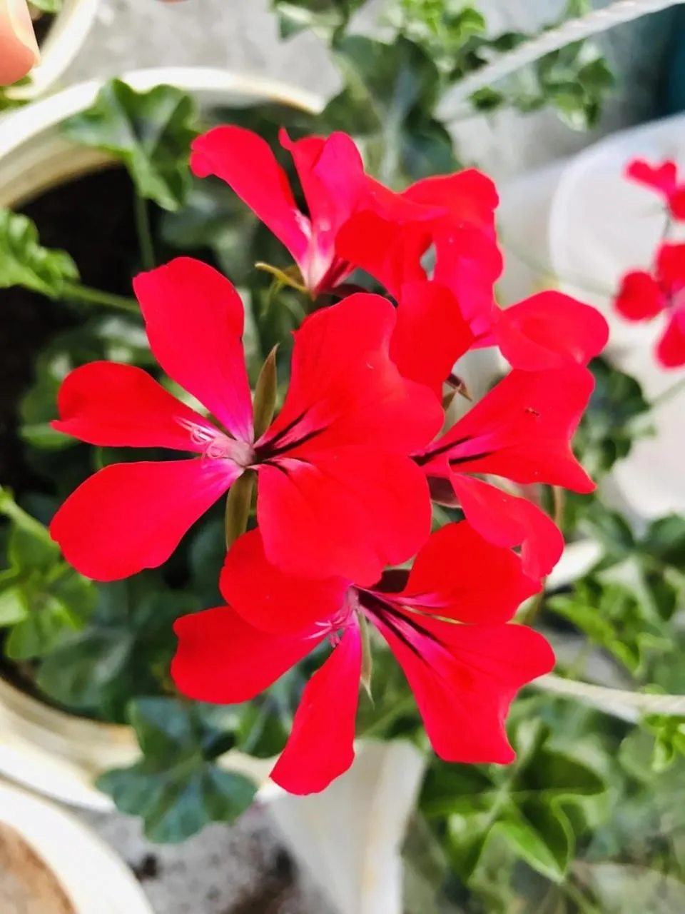 Property building in Ha Khoa Hotel Dalat