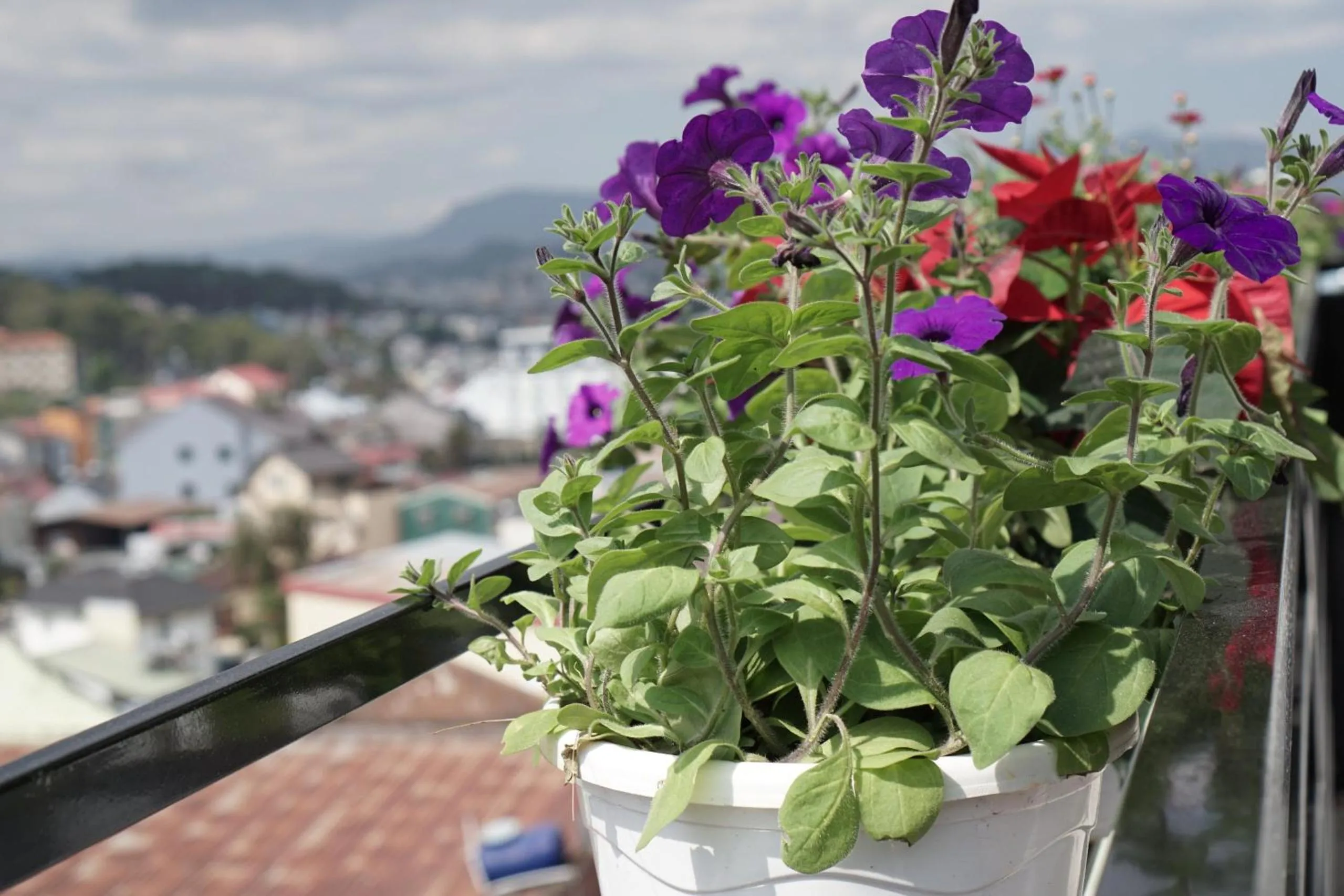 Balcony/Terrace in Ha Khoa Hotel Dalat