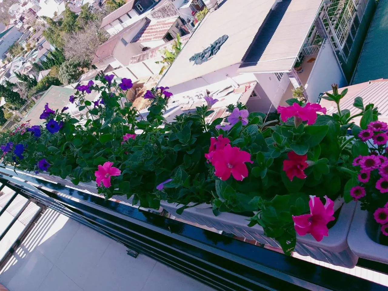 Balcony/Terrace in Ha Khoa Hotel Dalat
