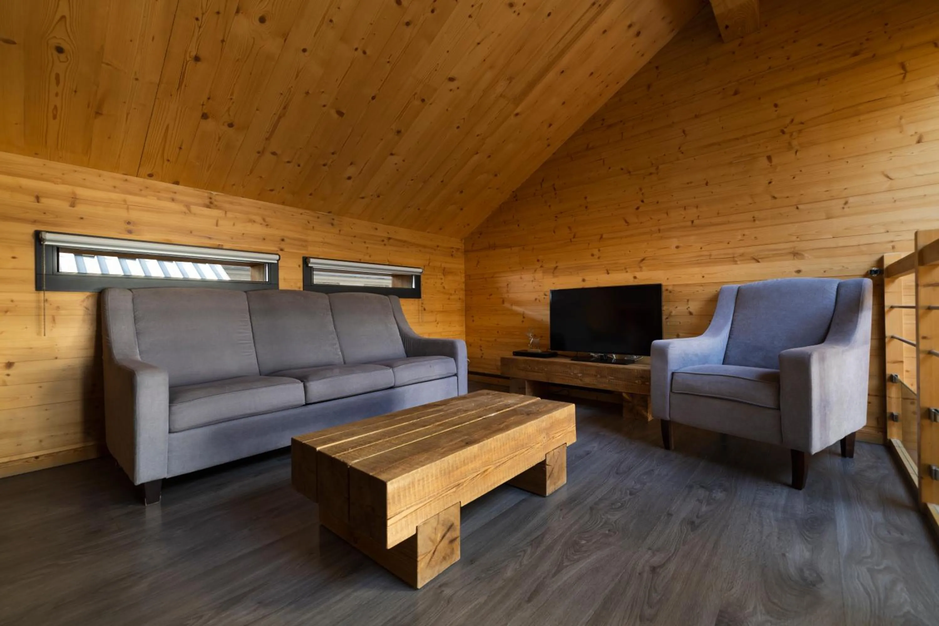 TV and multimedia in Hôtel de L'Arve by HappyCulture