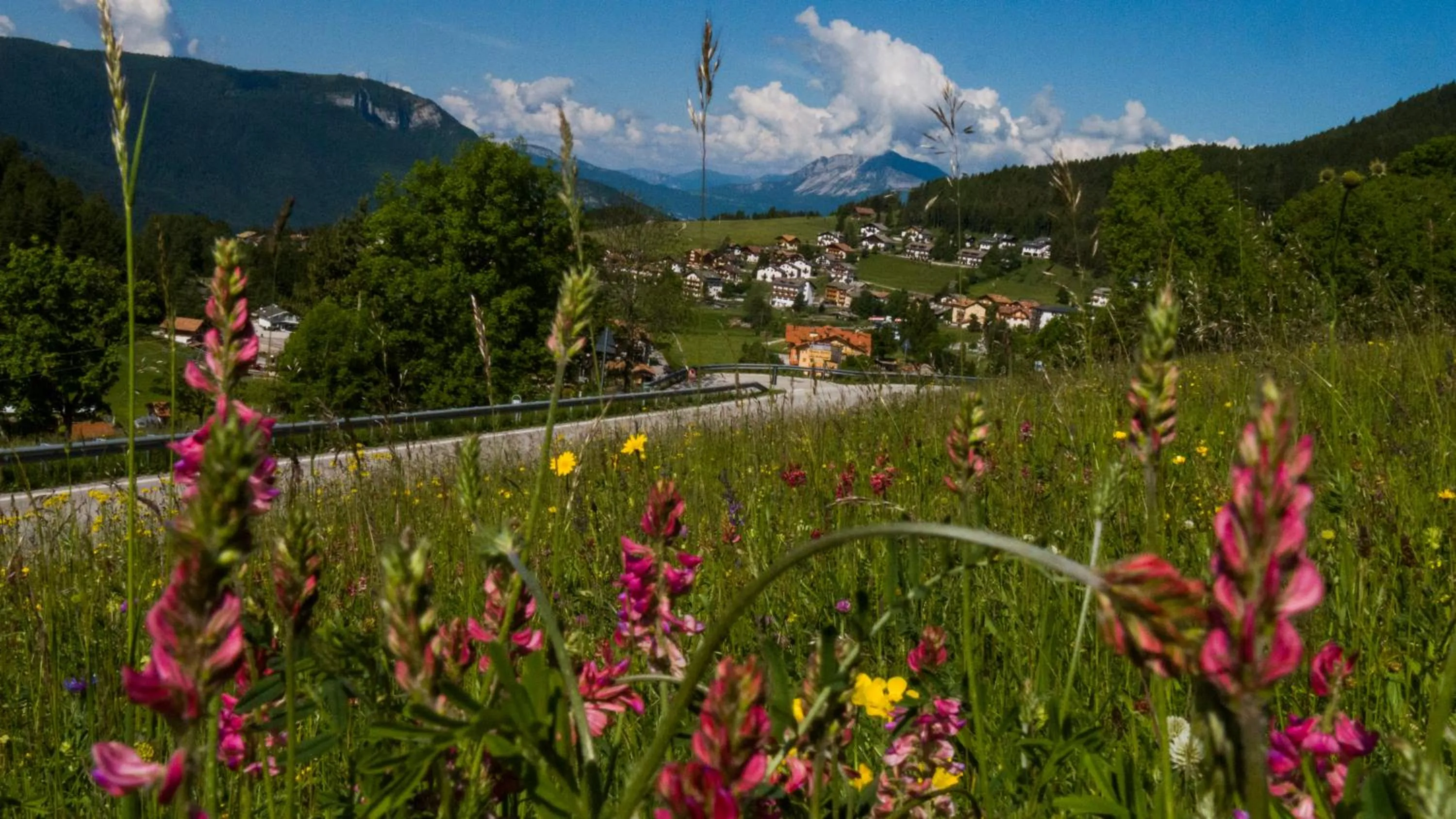 Natural landscape in Hotel B&B Francolini