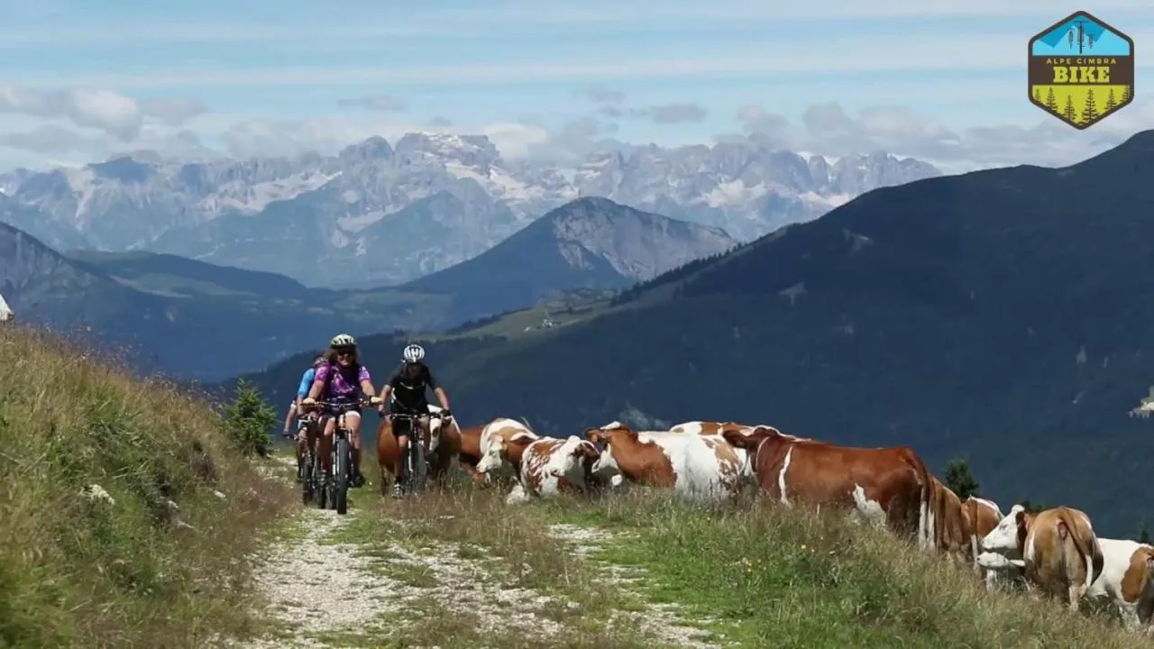 Hotel B&B Francolini