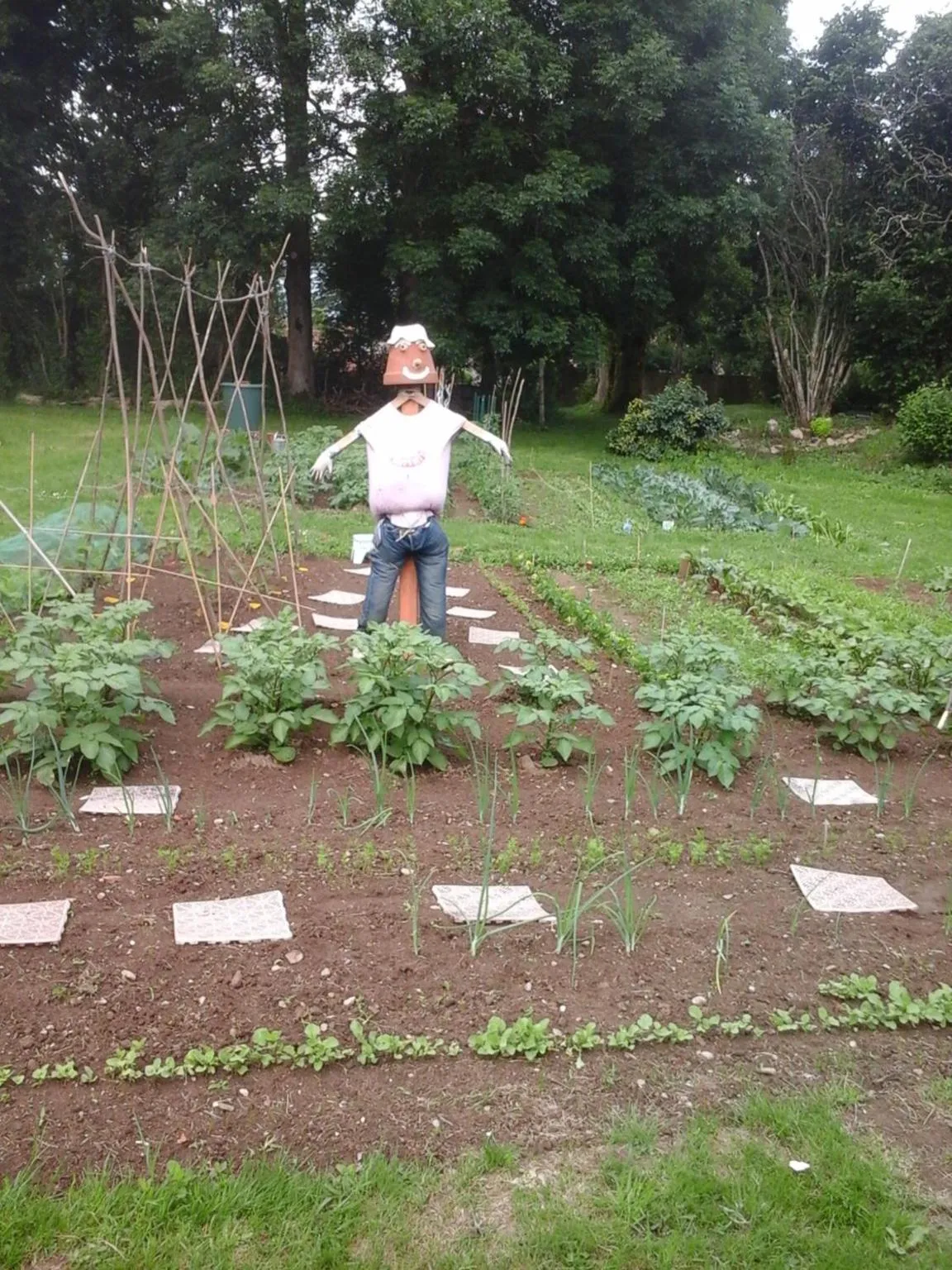La Maison Des Fleurs