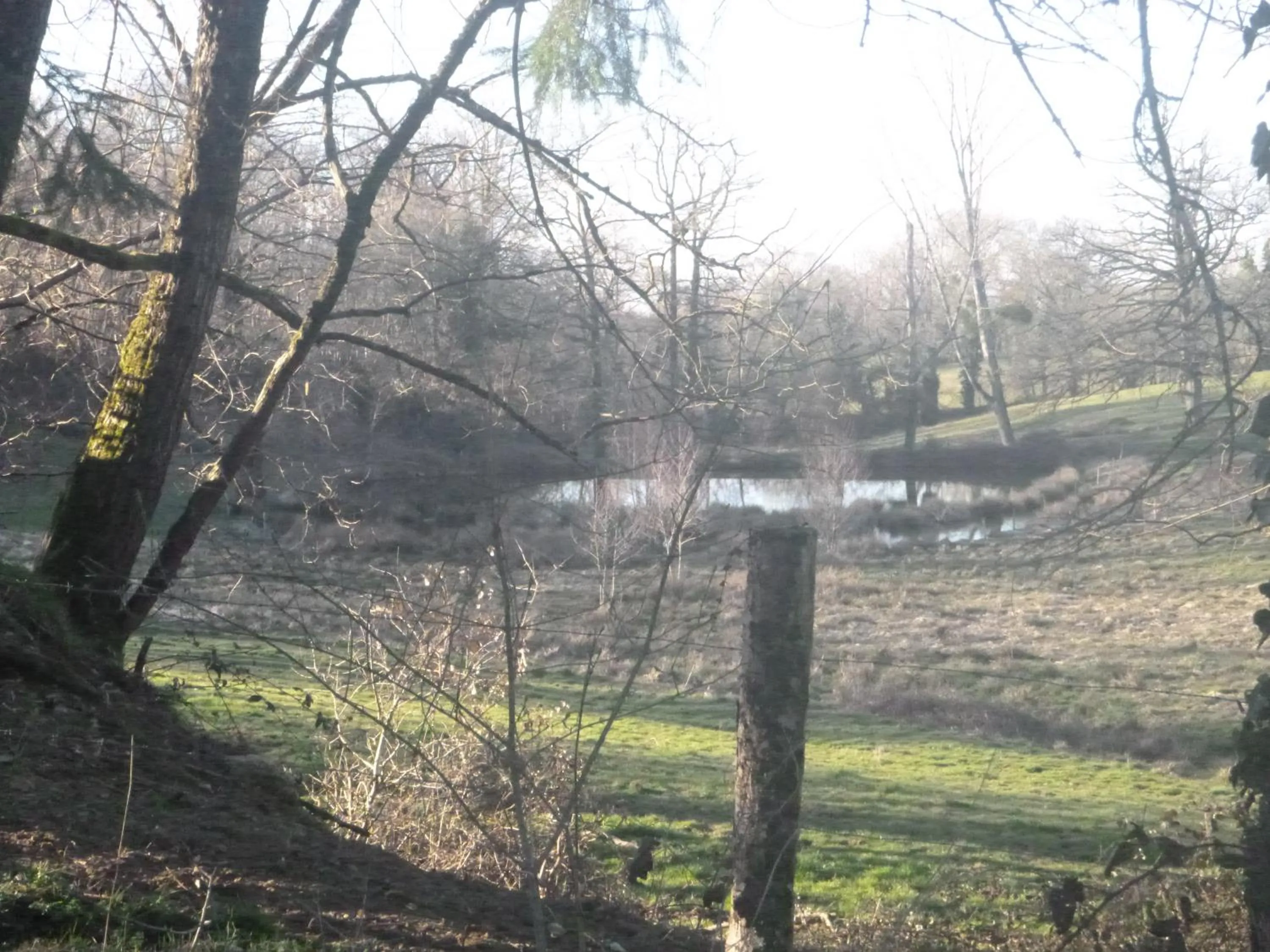 La Maison Des Fleurs