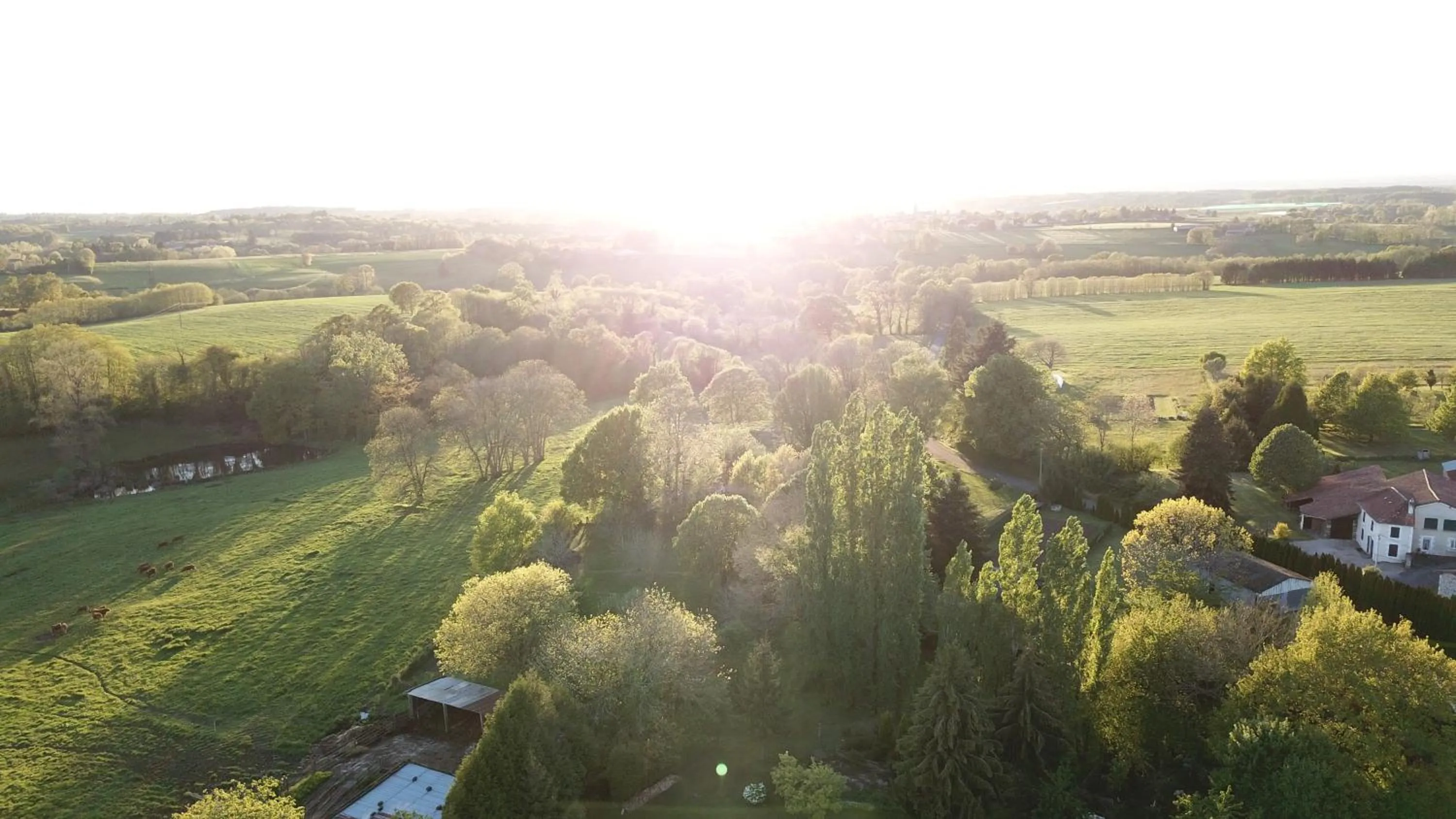 La Maison Des Fleurs