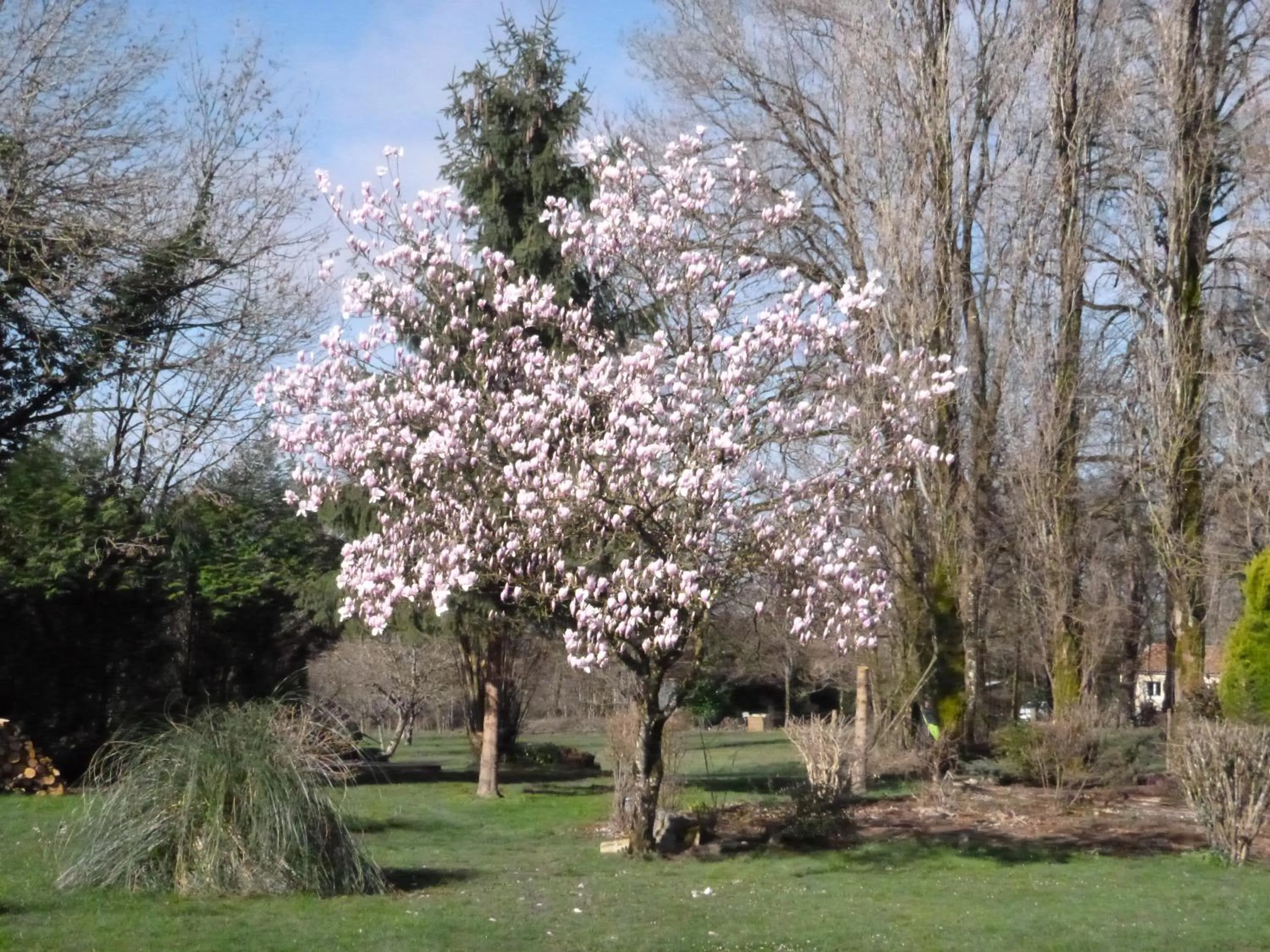 La Maison Des Fleurs