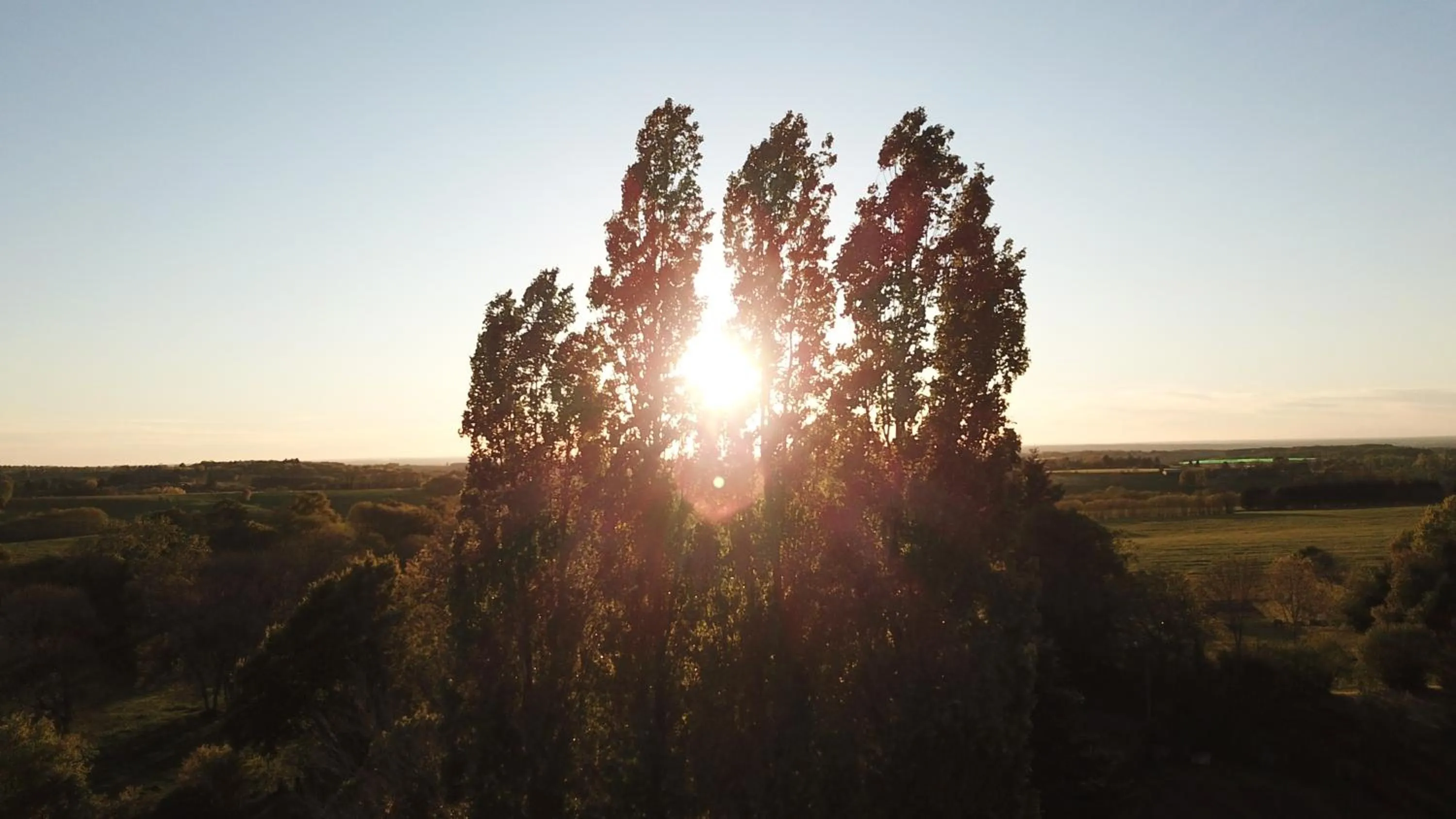 La Maison Des Fleurs