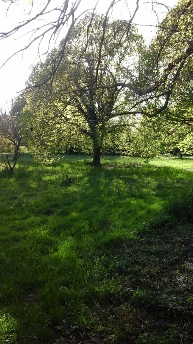 La Maison Des Fleurs